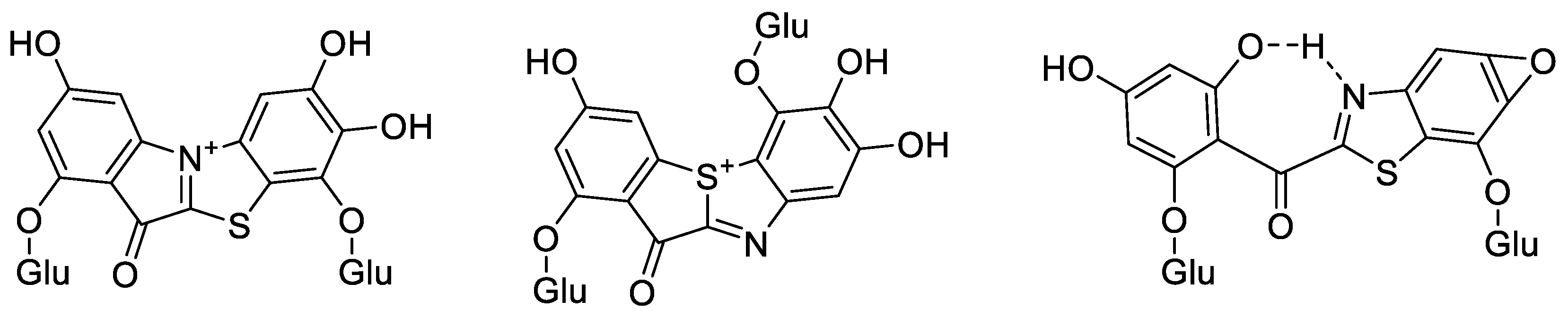 Molecules 29 00302 g007
