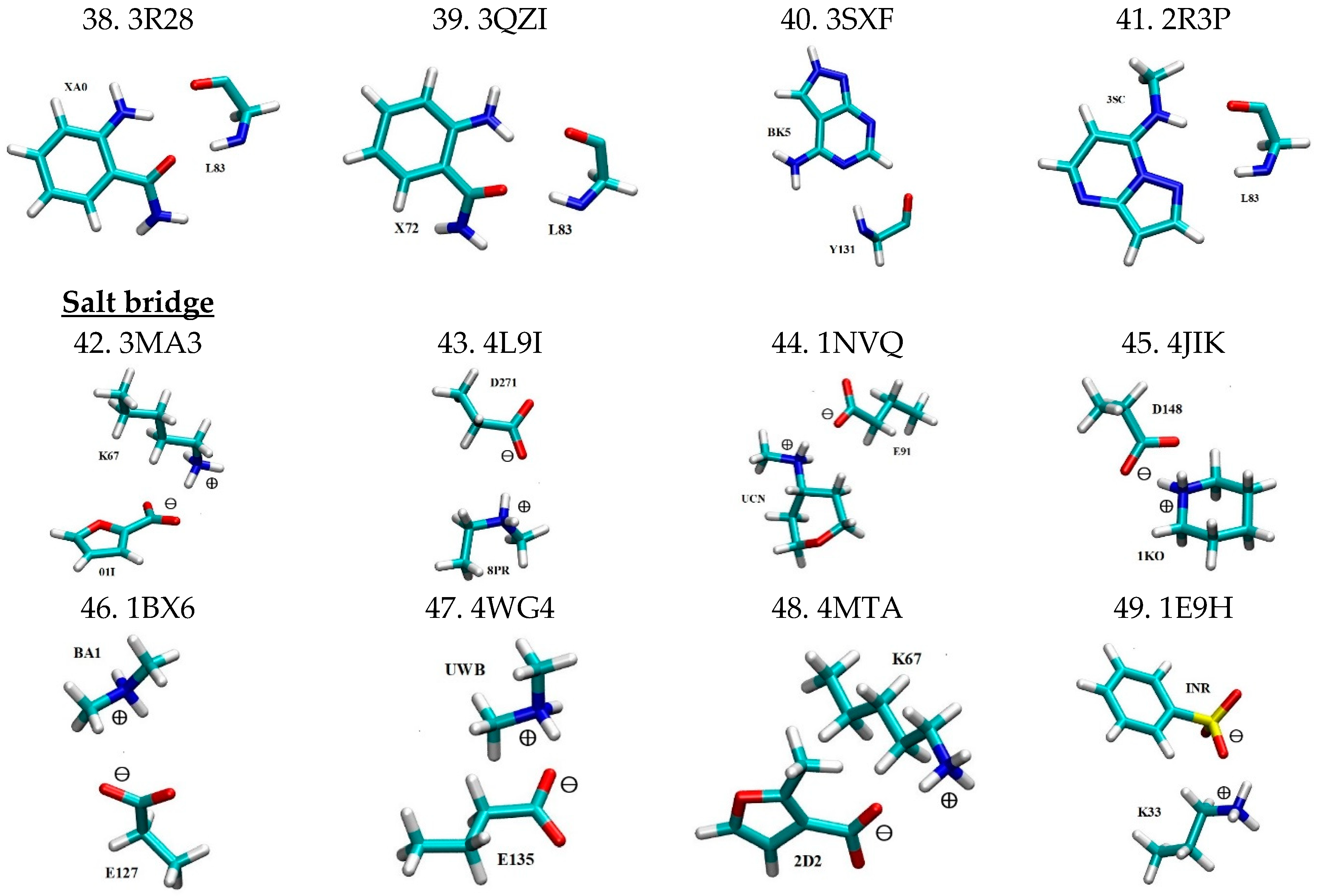 Molecules 29 00304 g001c