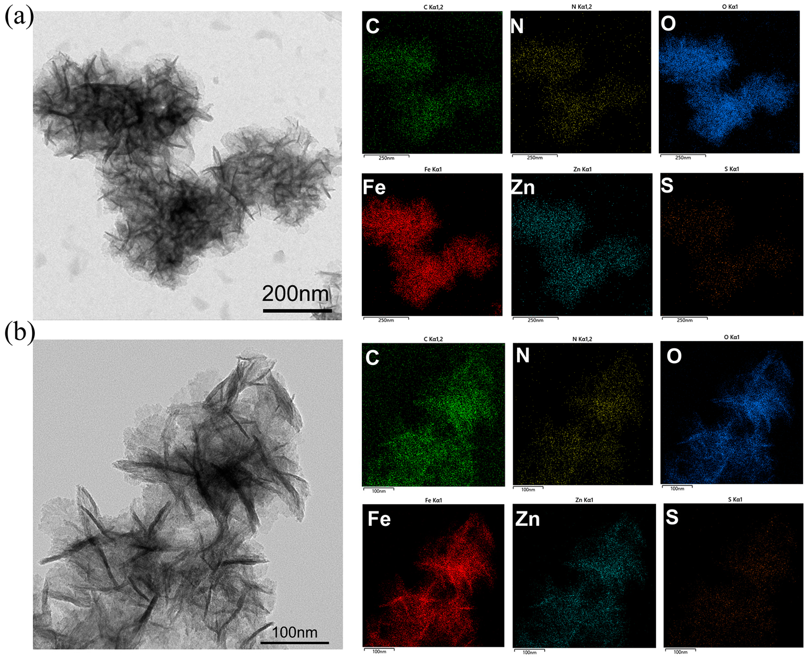 Molecules 29 00307 g003