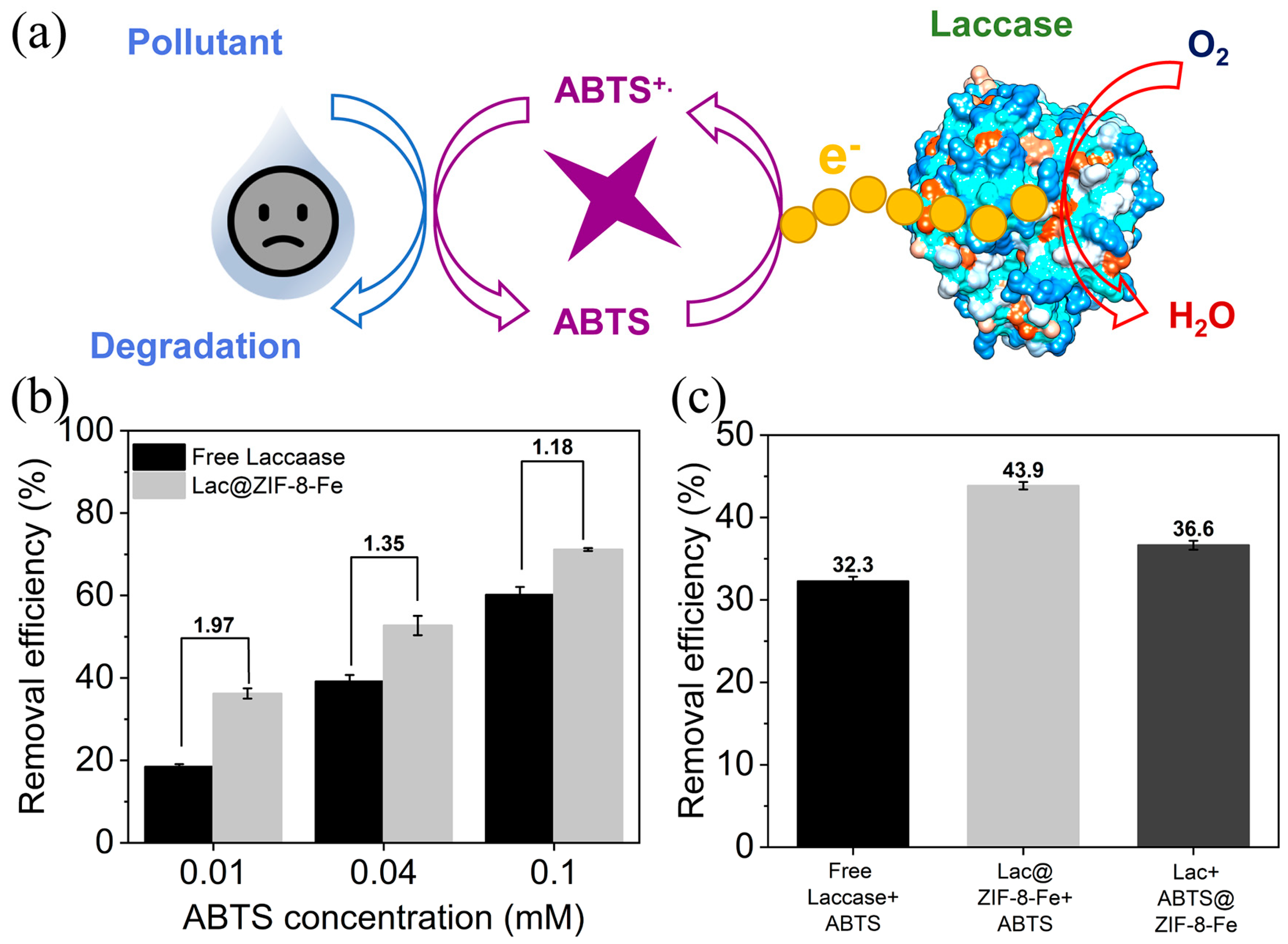 Molecules 29 00307 g007