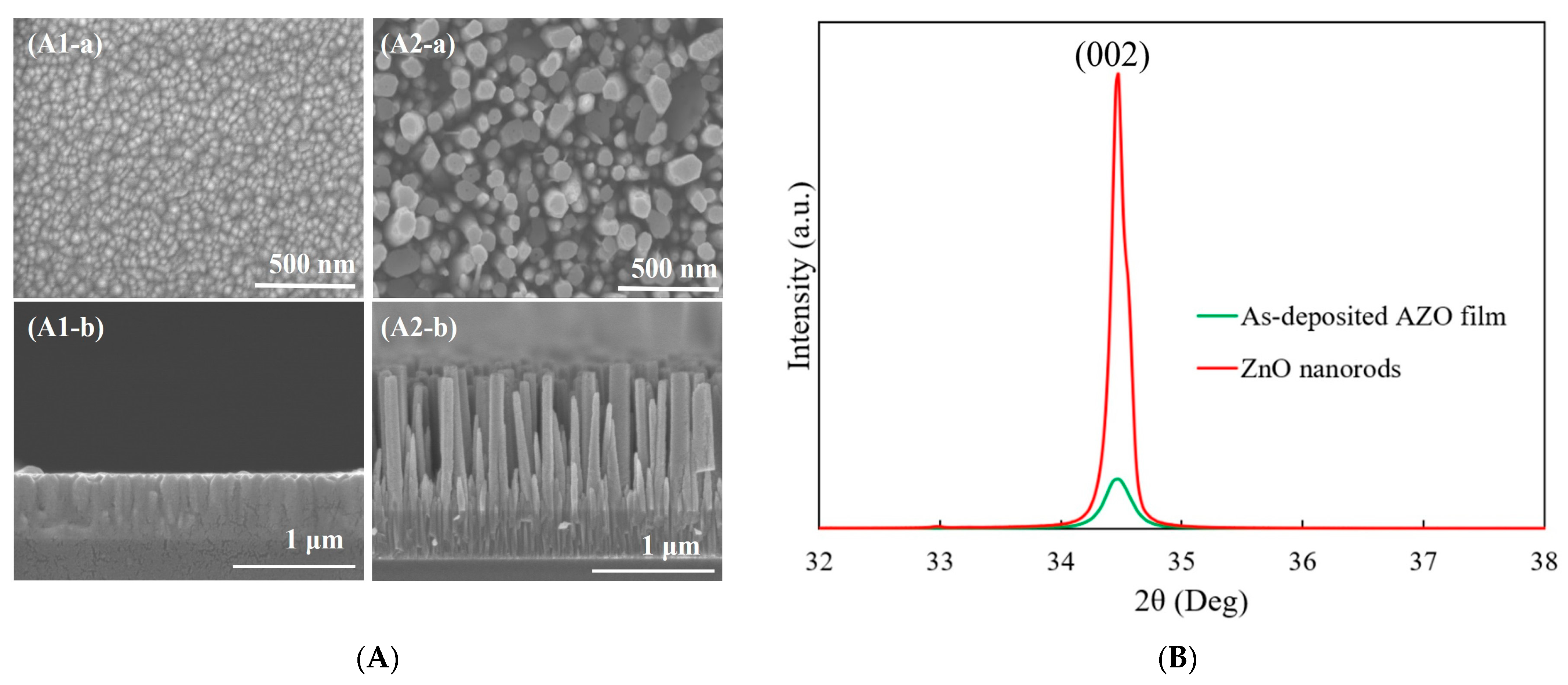 Molecules 29 00309 g001