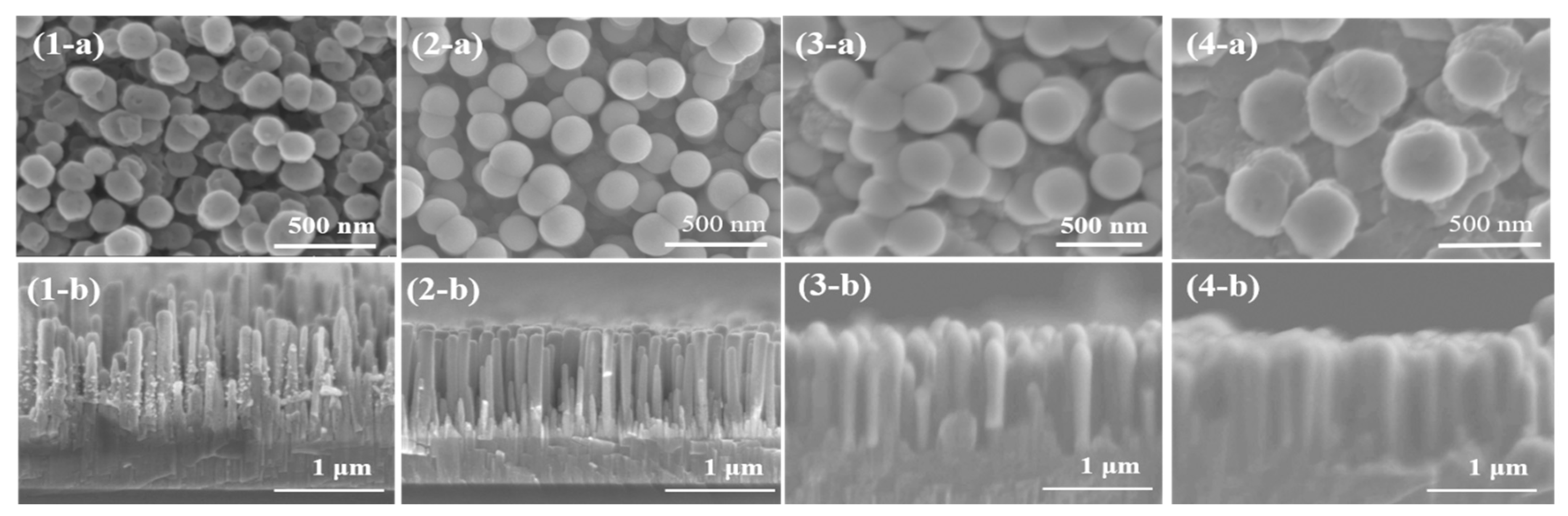 Molecules 29 00309 g002