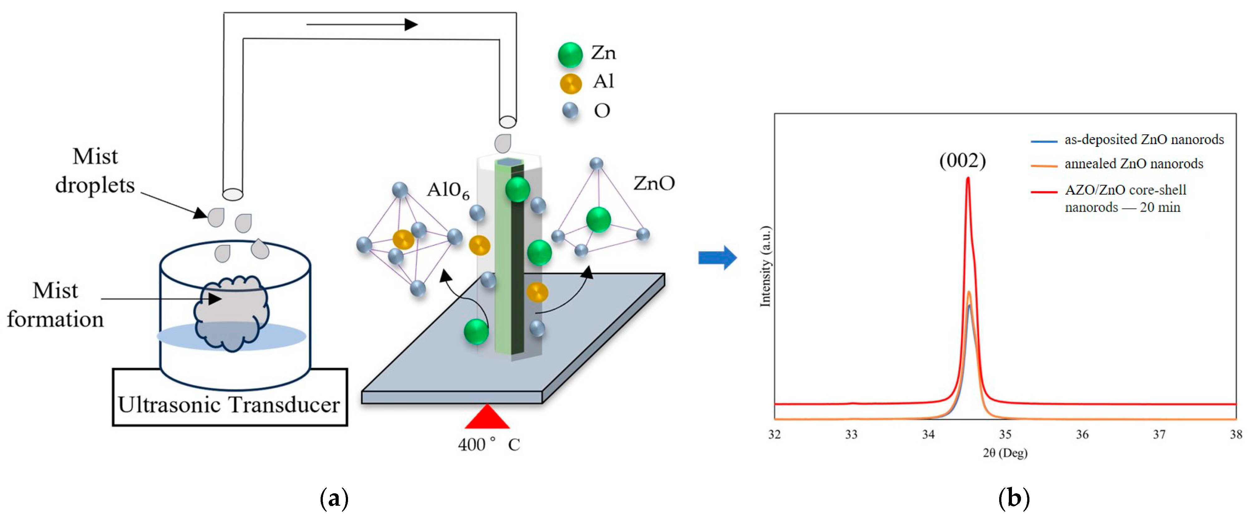Molecules 29 00309 g005