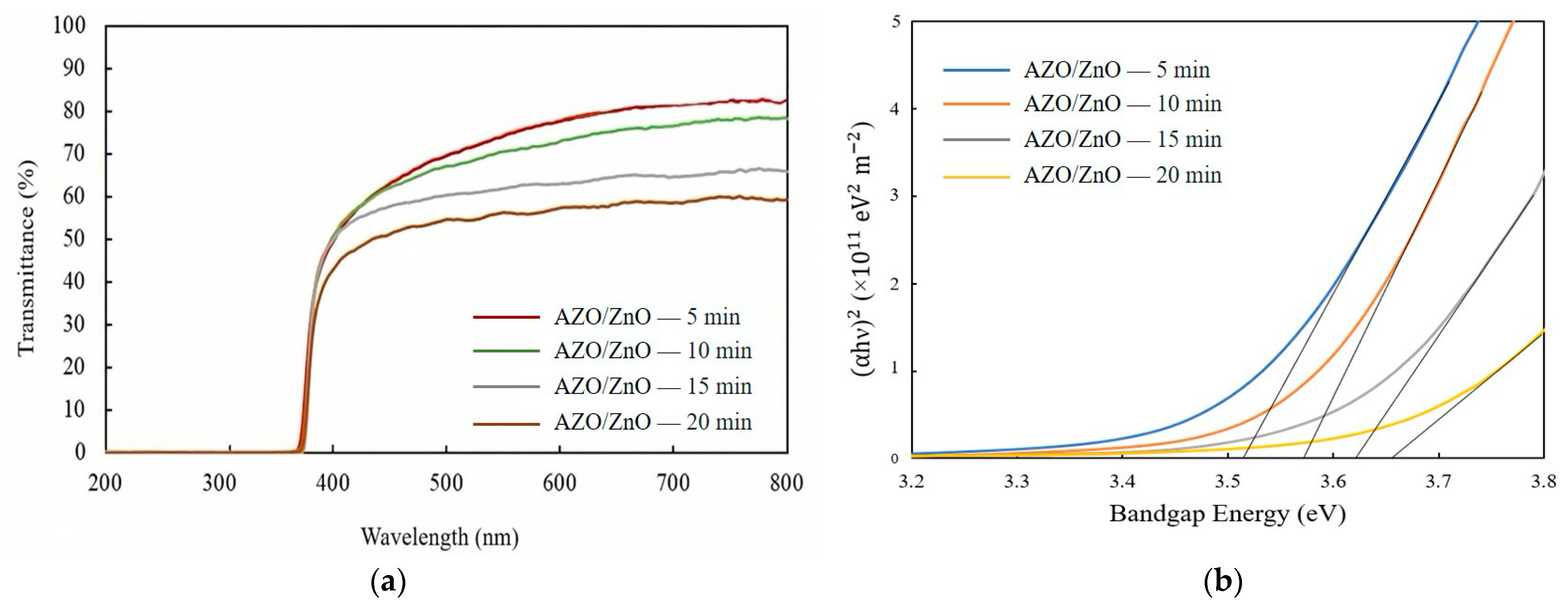 Molecules 29 00309 g006