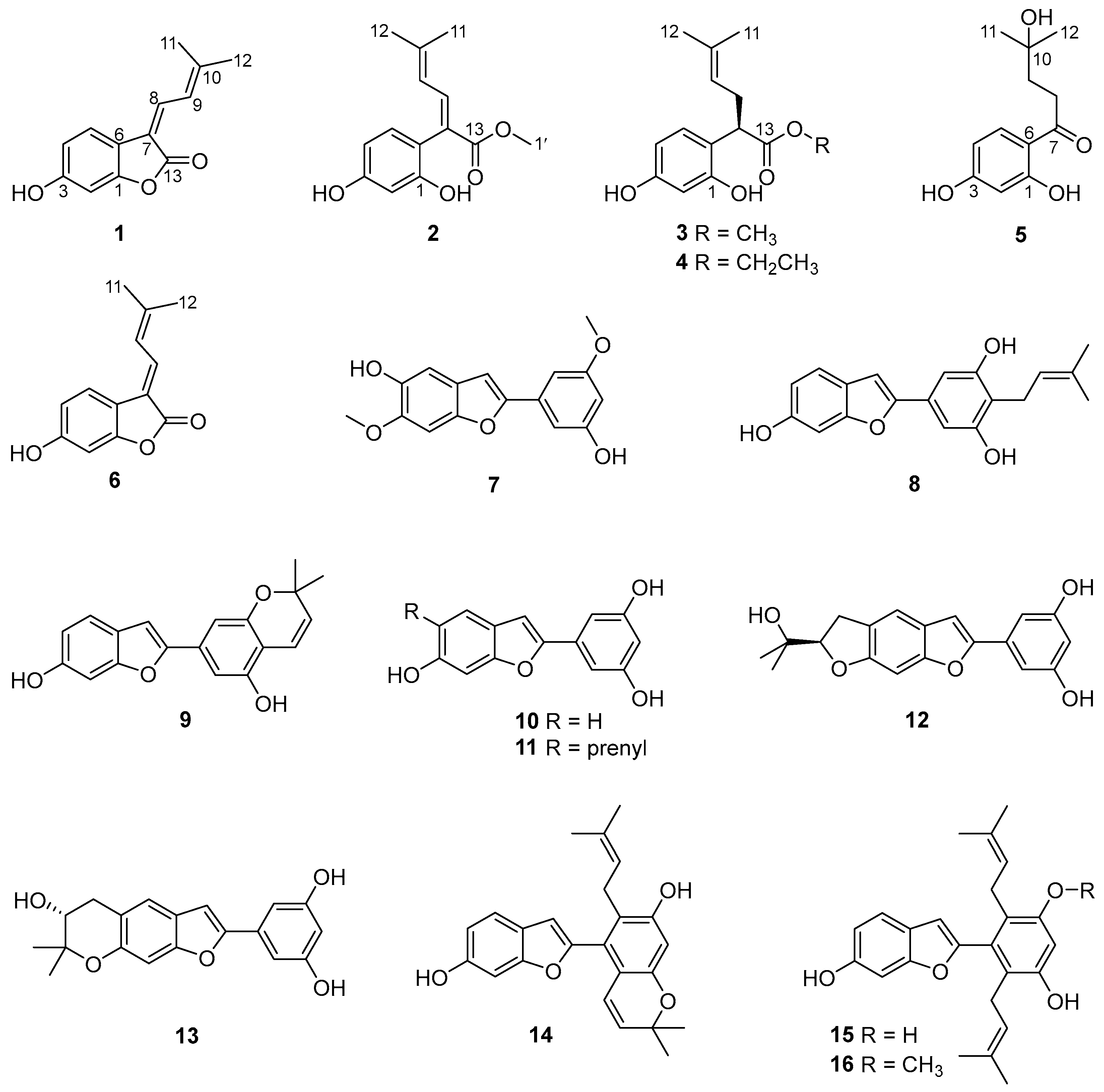 Molecules 29 00315 g001