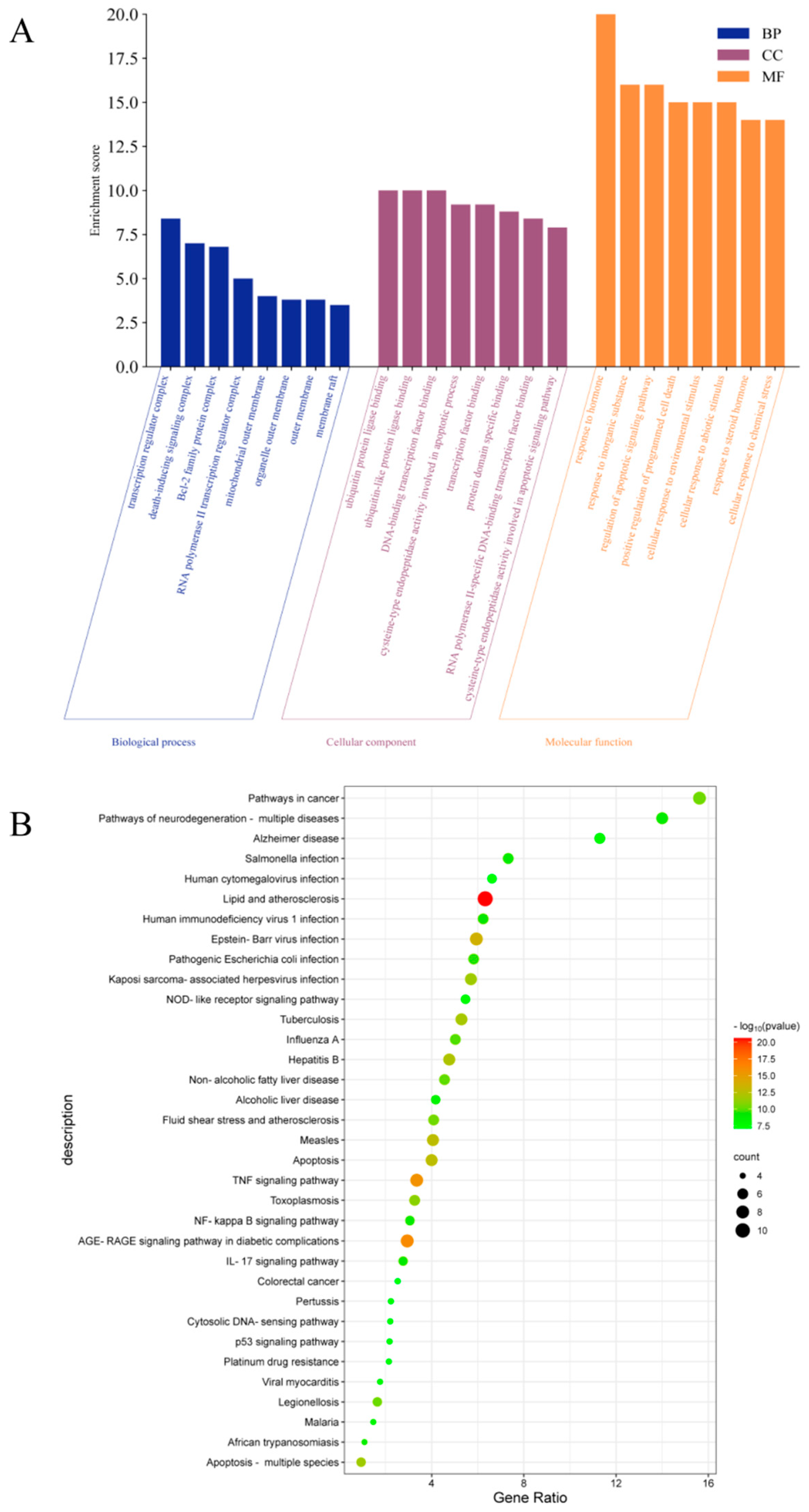 Molecules 29 00317 g006