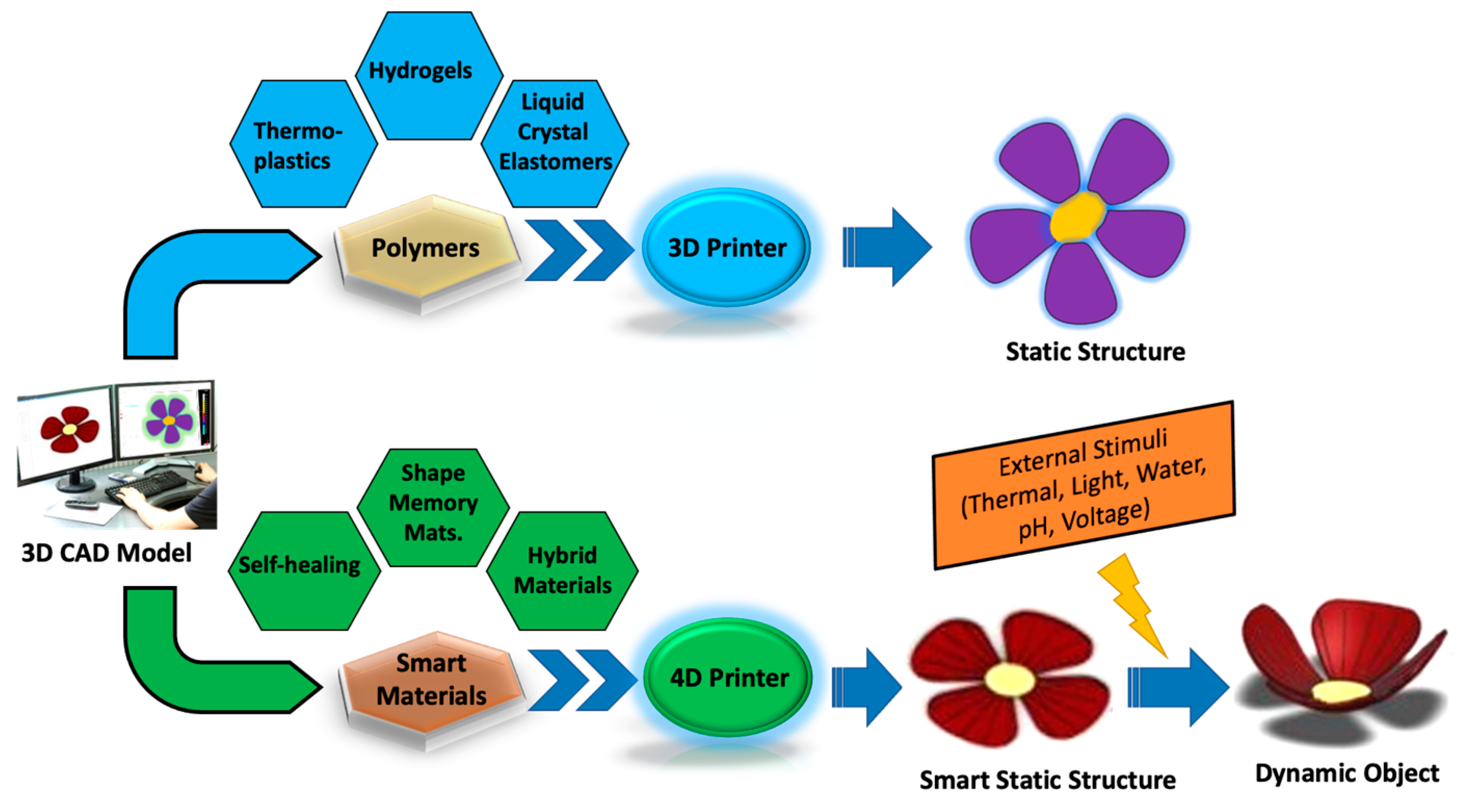 Molecules 29 00319 g001