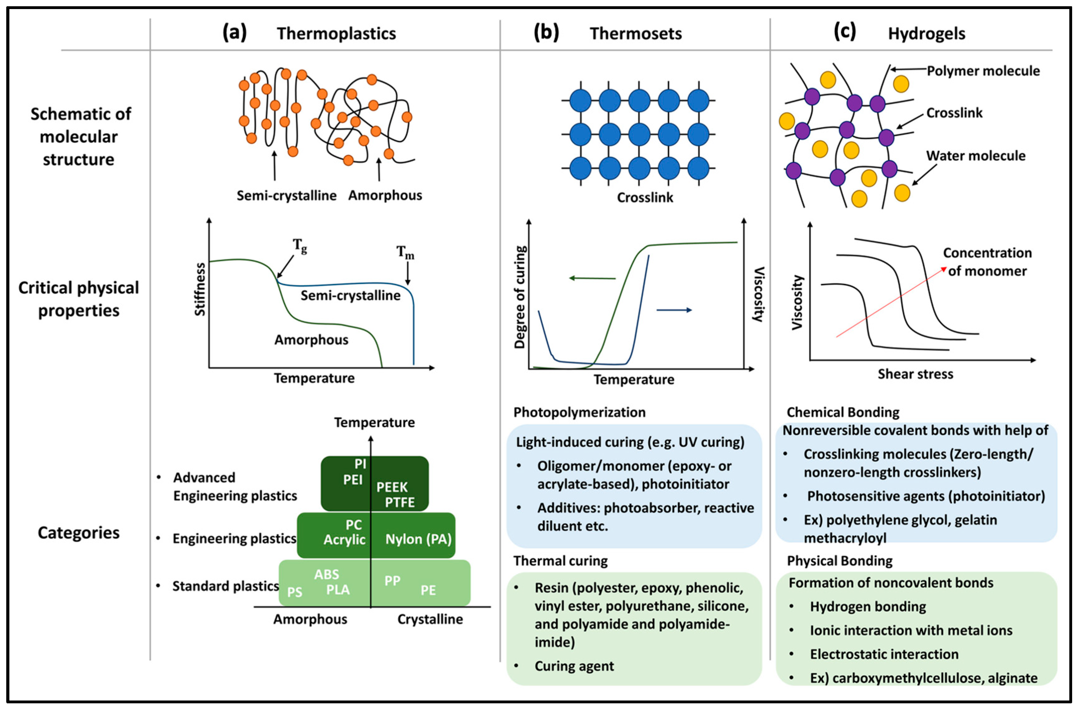 Molecules 29 00319 g004