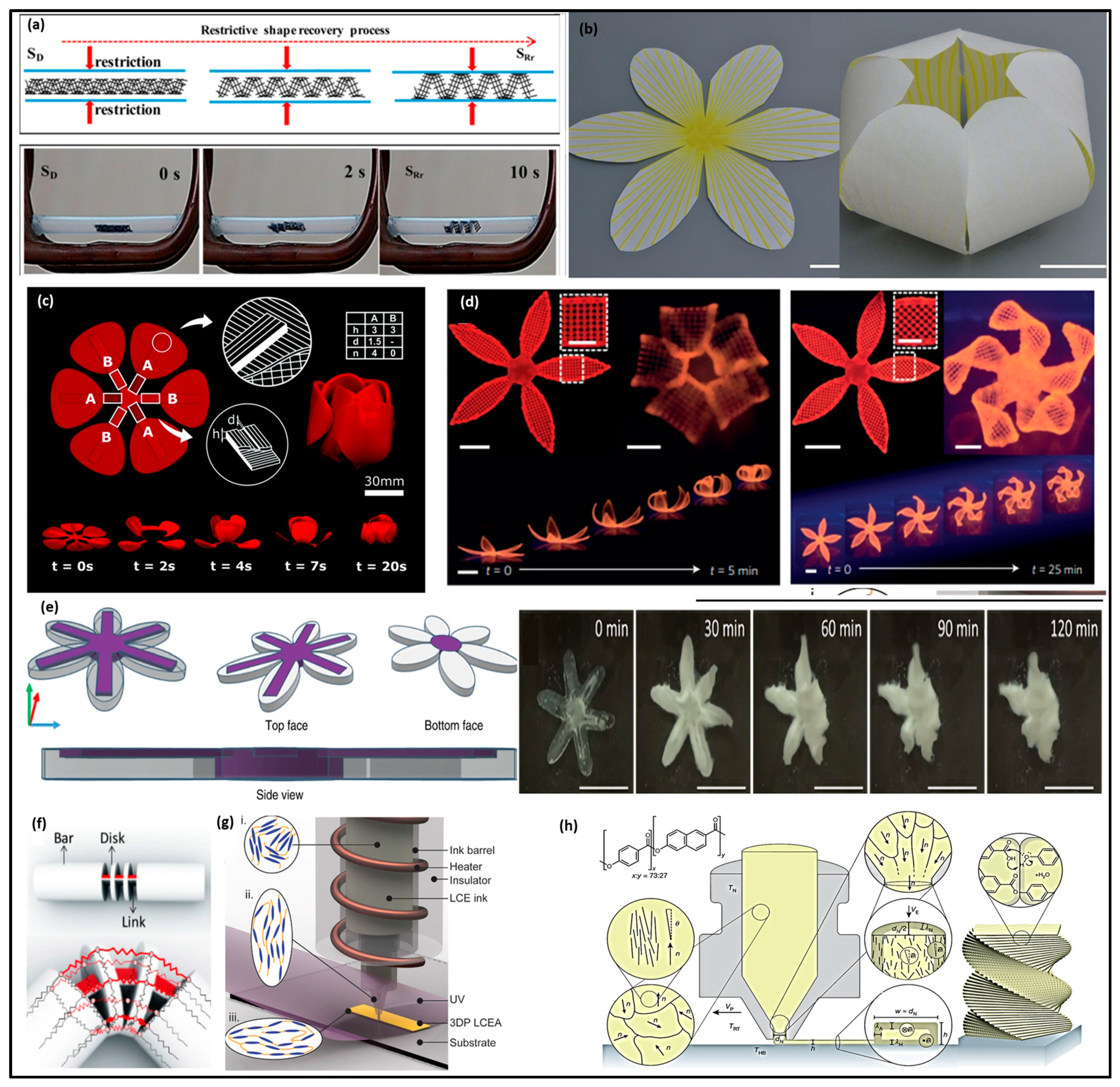 Molecules 29 00319 g007