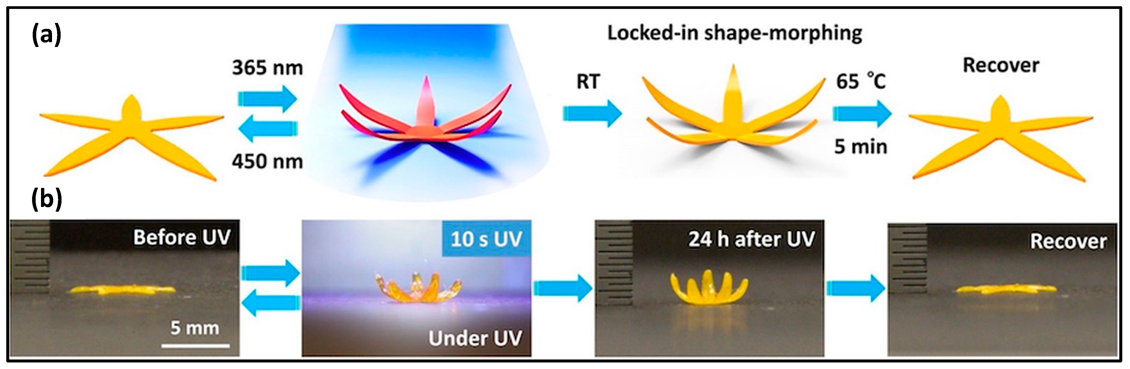 Molecules 29 00319 g010