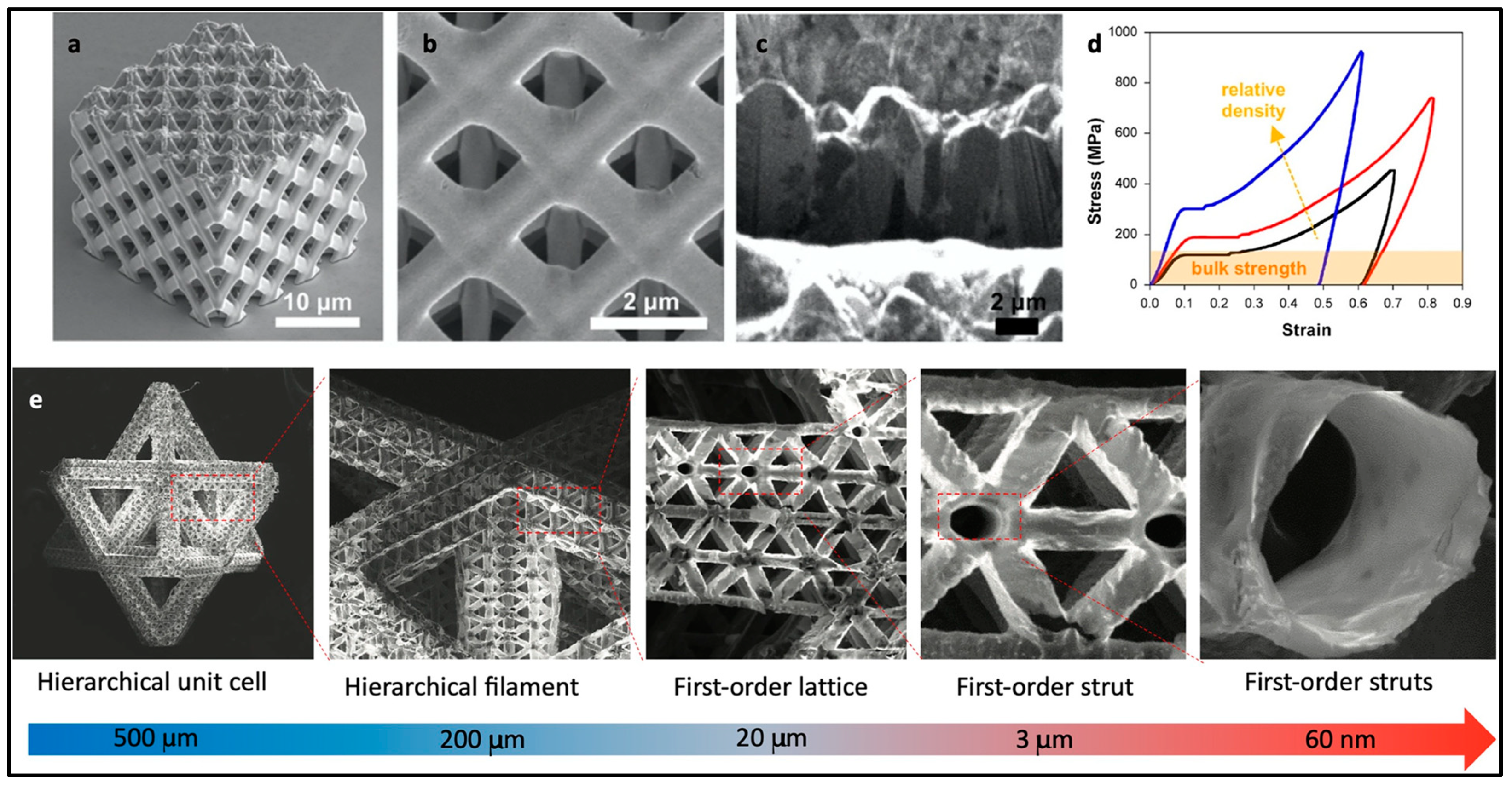 Molecules 29 00319 g014