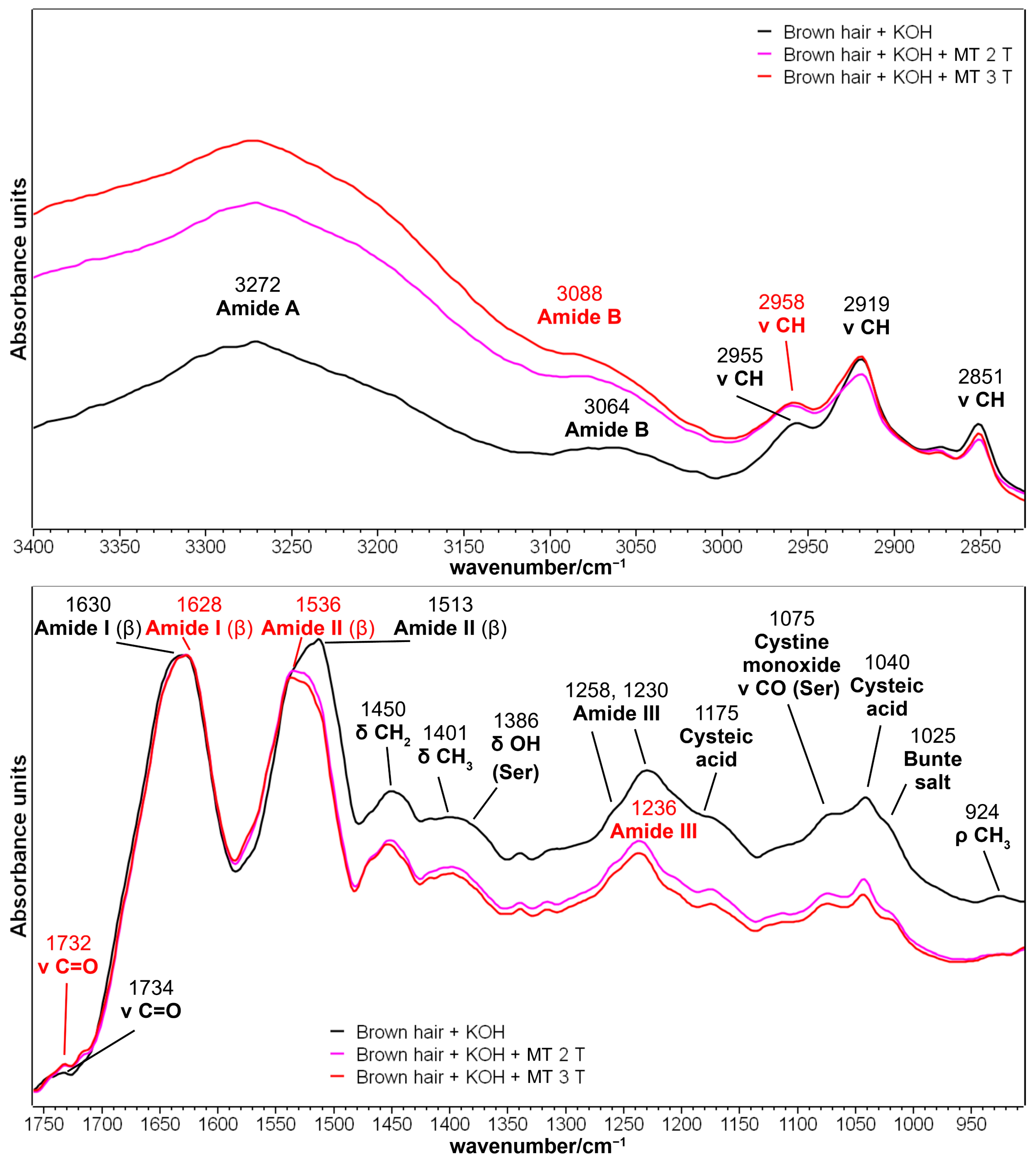 Molecules 29 00320 g003