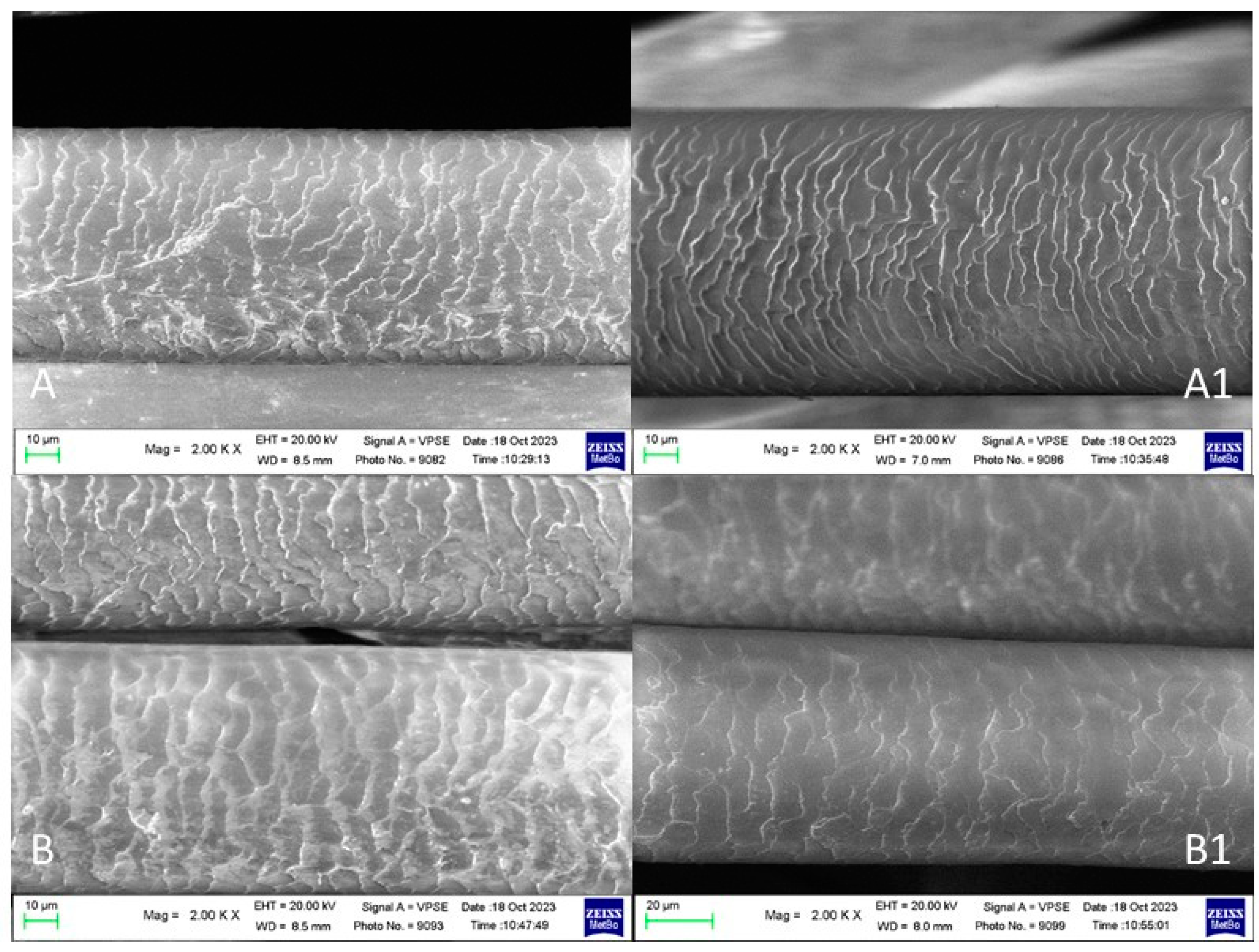 Molecules 29 00320 g009
