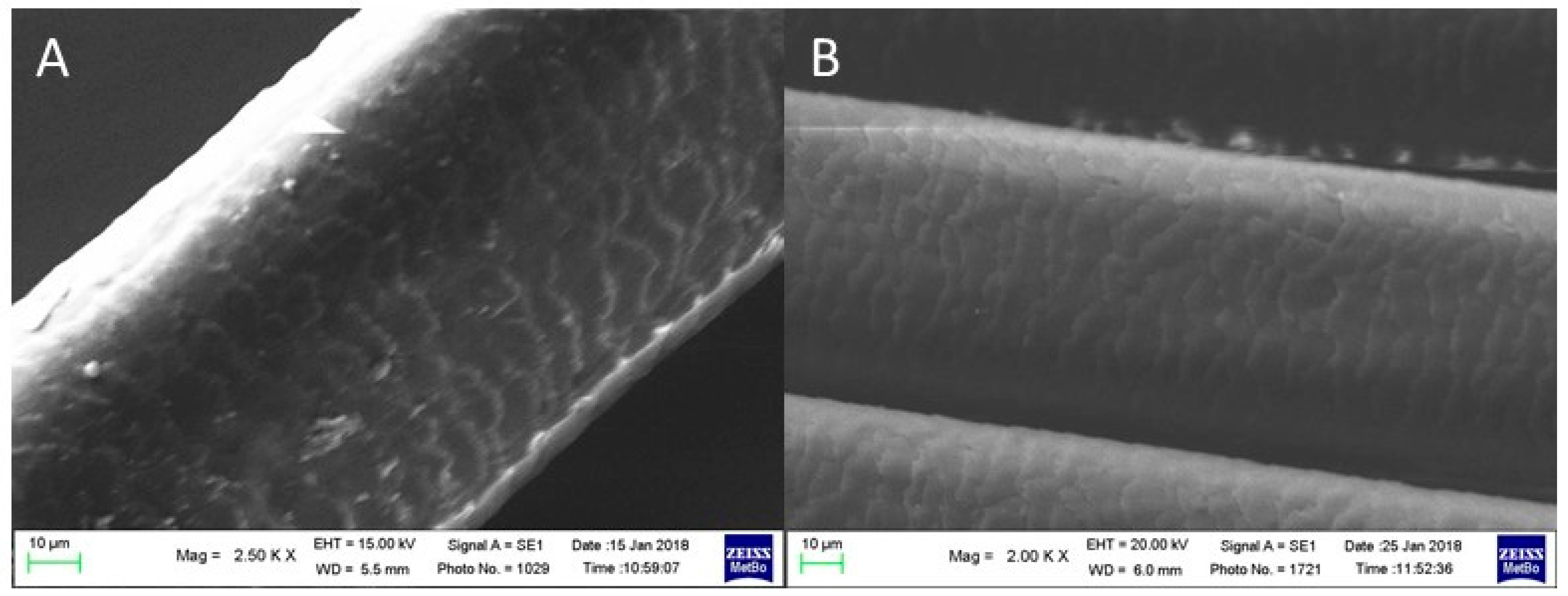 Molecules 29 00320 g010