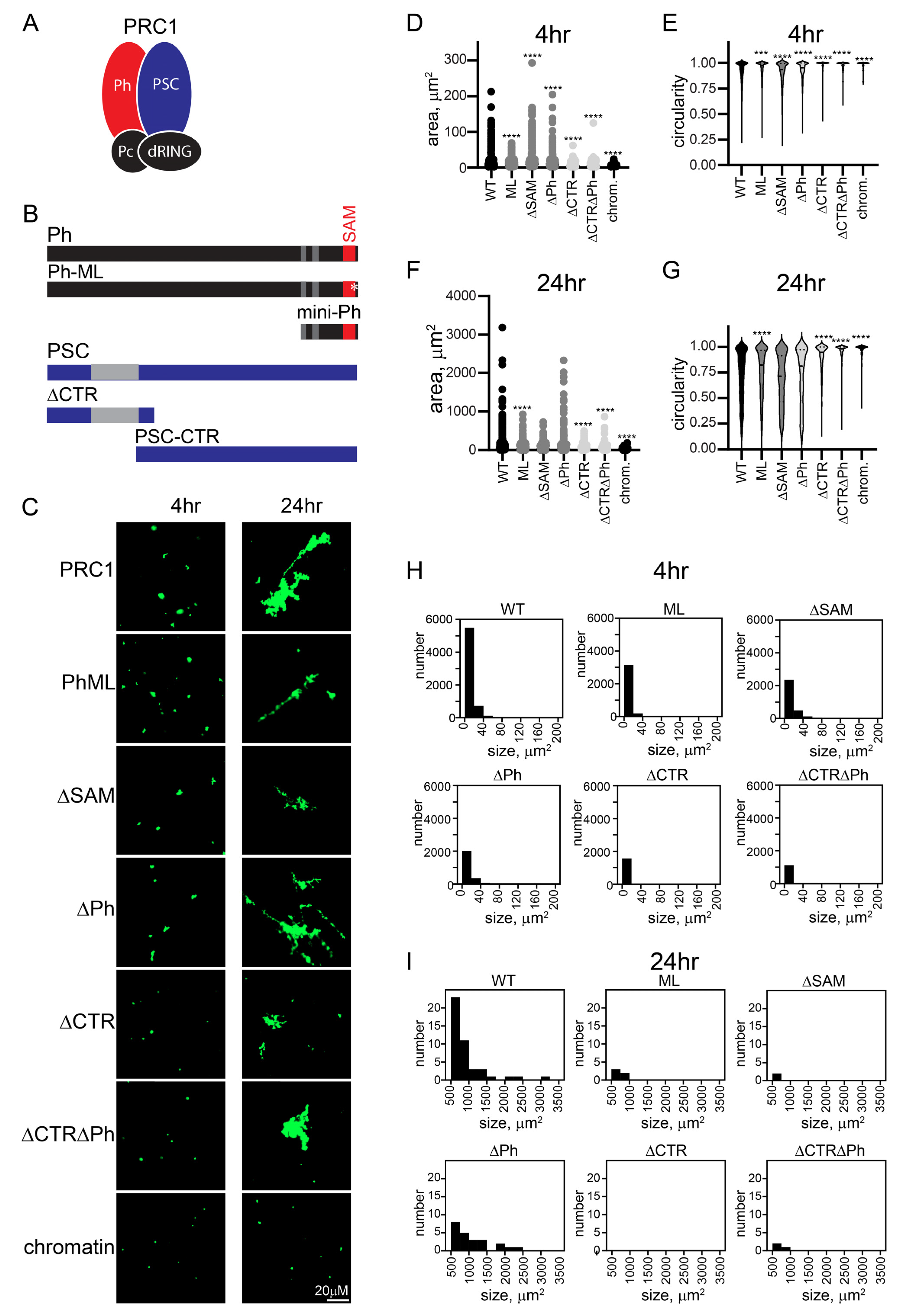 Molecules 29 00323 g003
