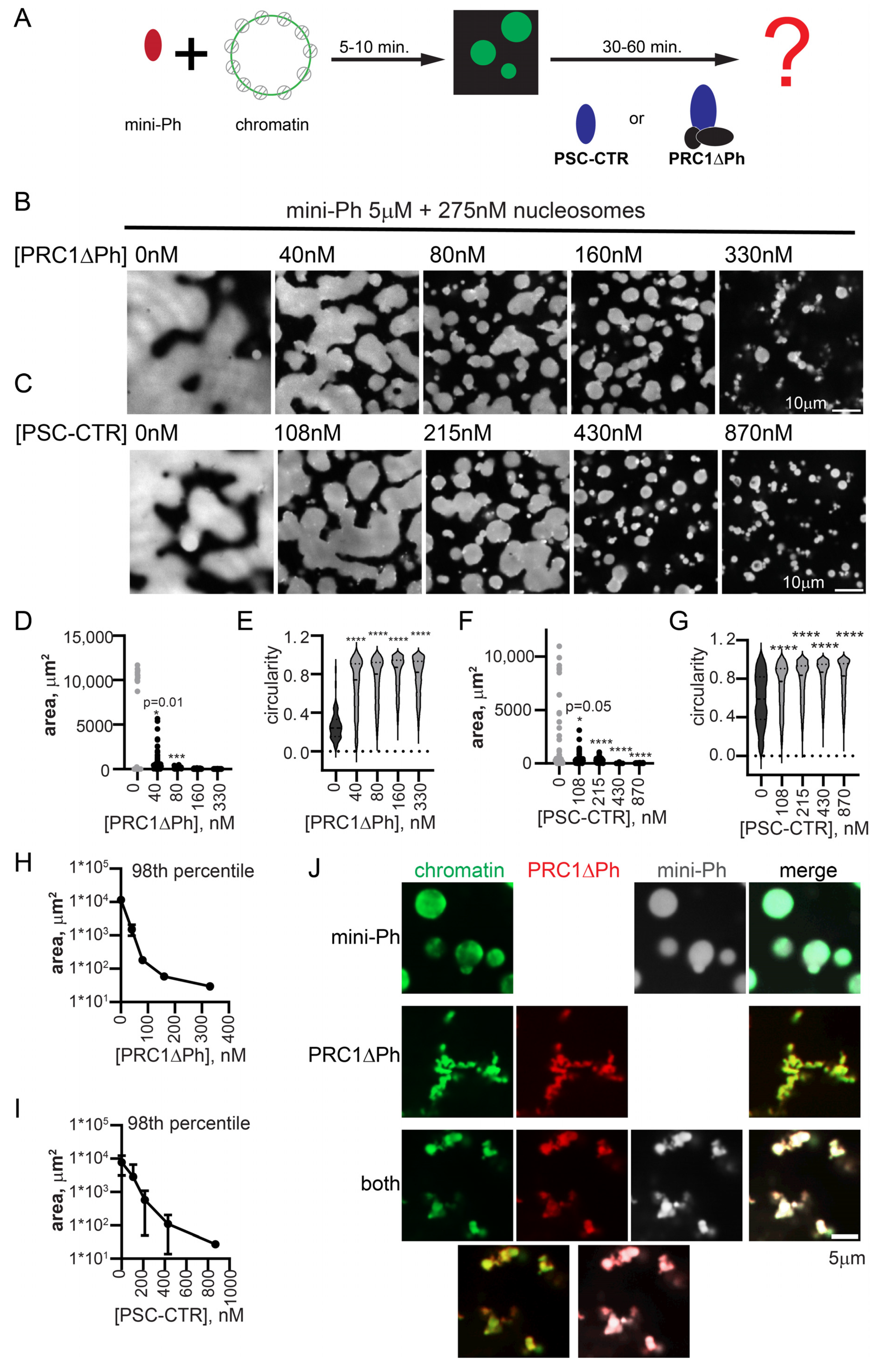 Molecules 29 00323 g005