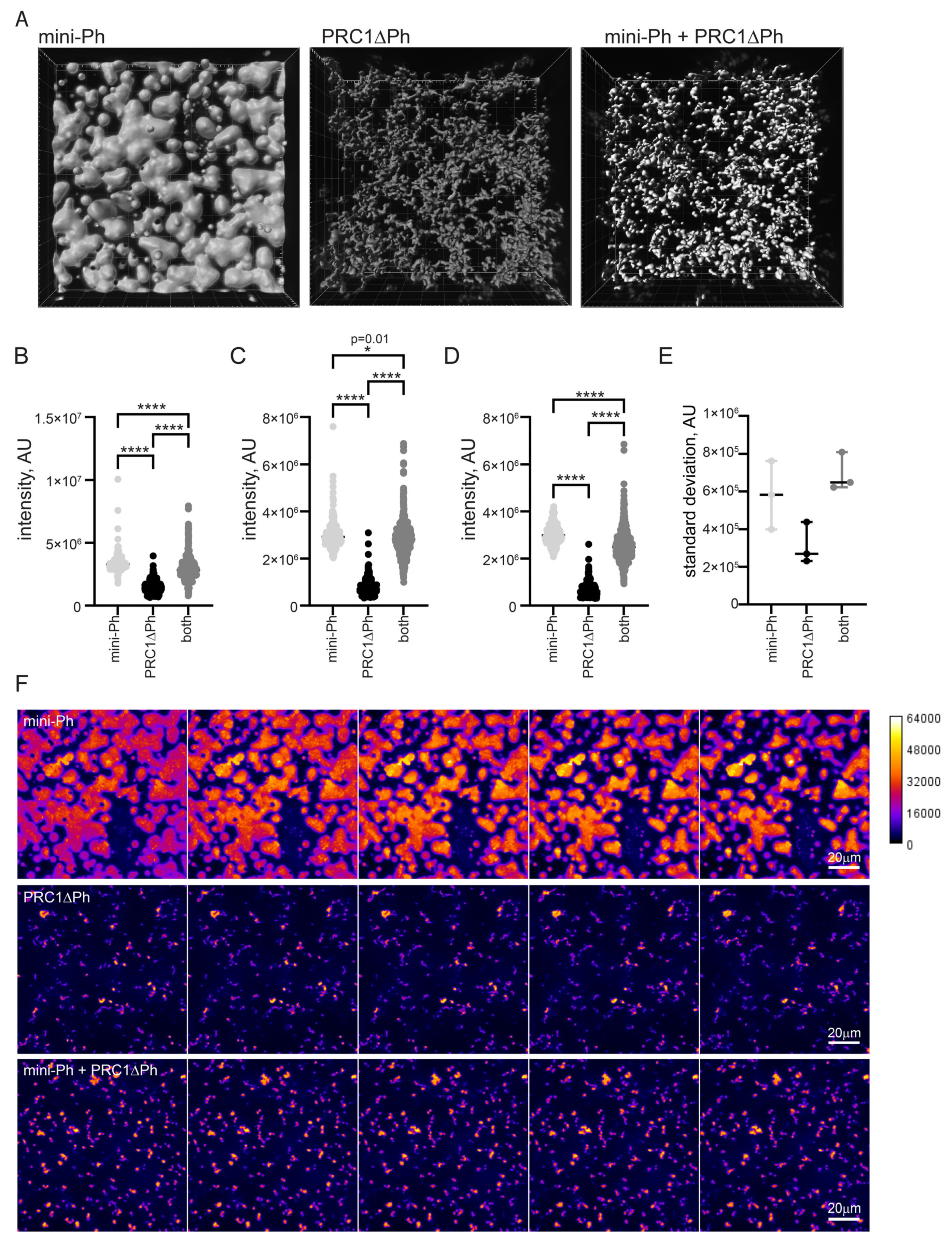 Molecules 29 00323 g006