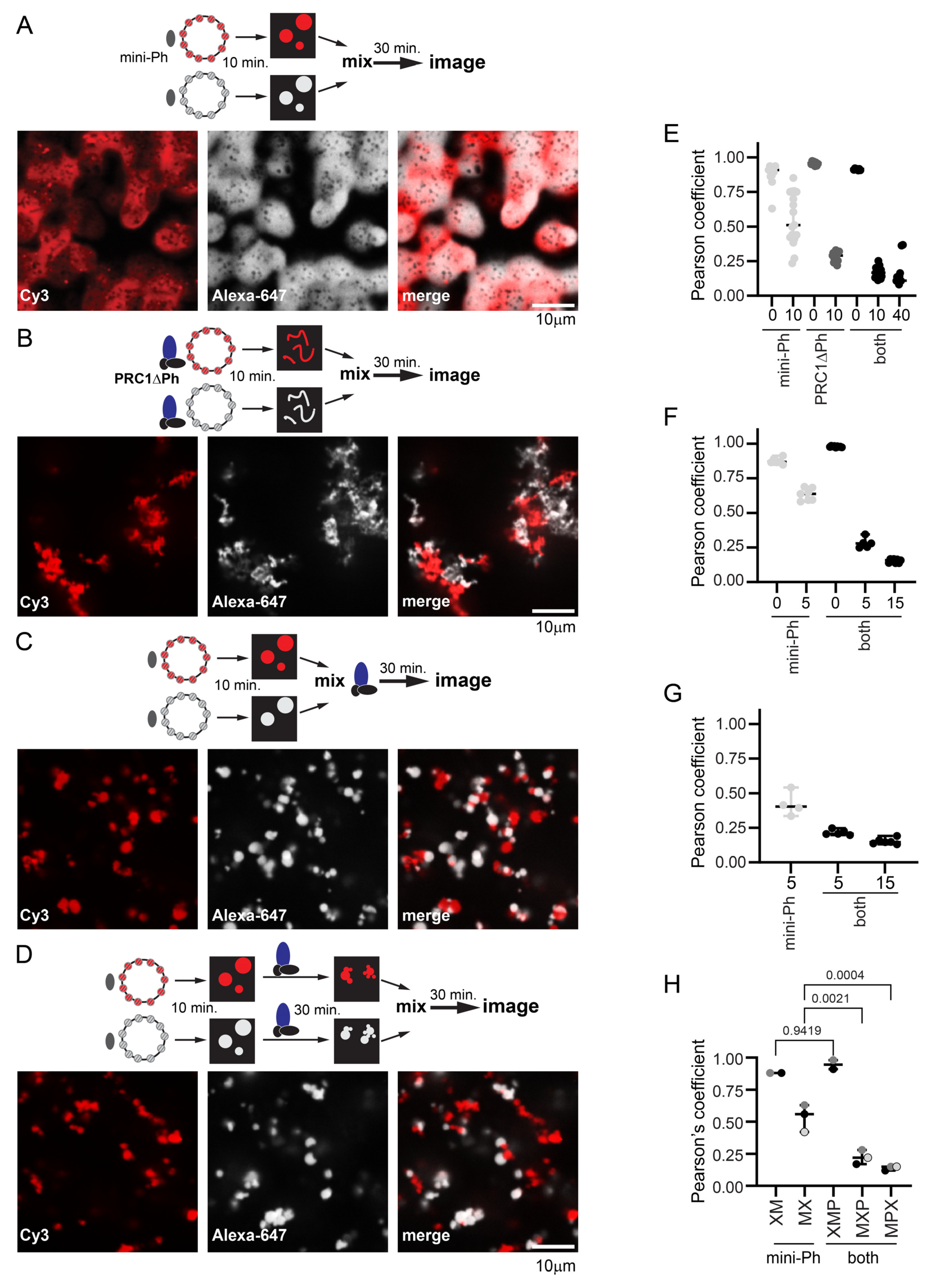 Molecules 29 00323 g007