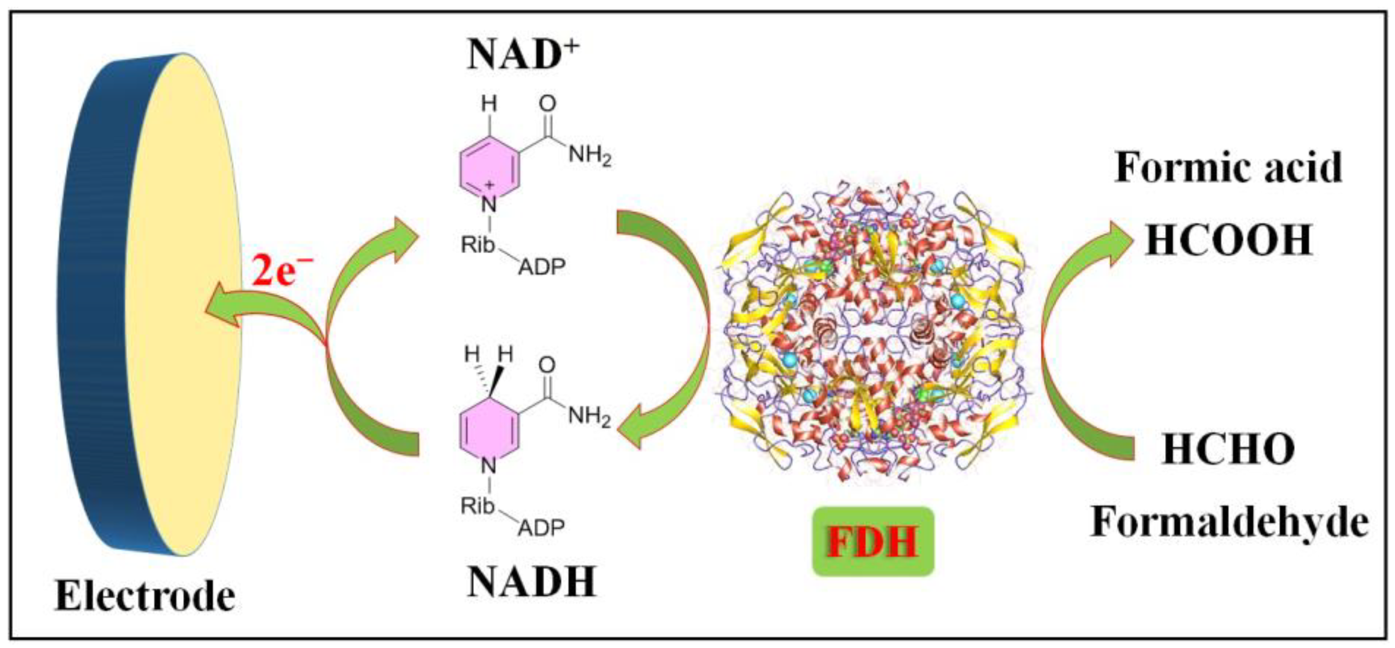 Molecules 29 00327 g001