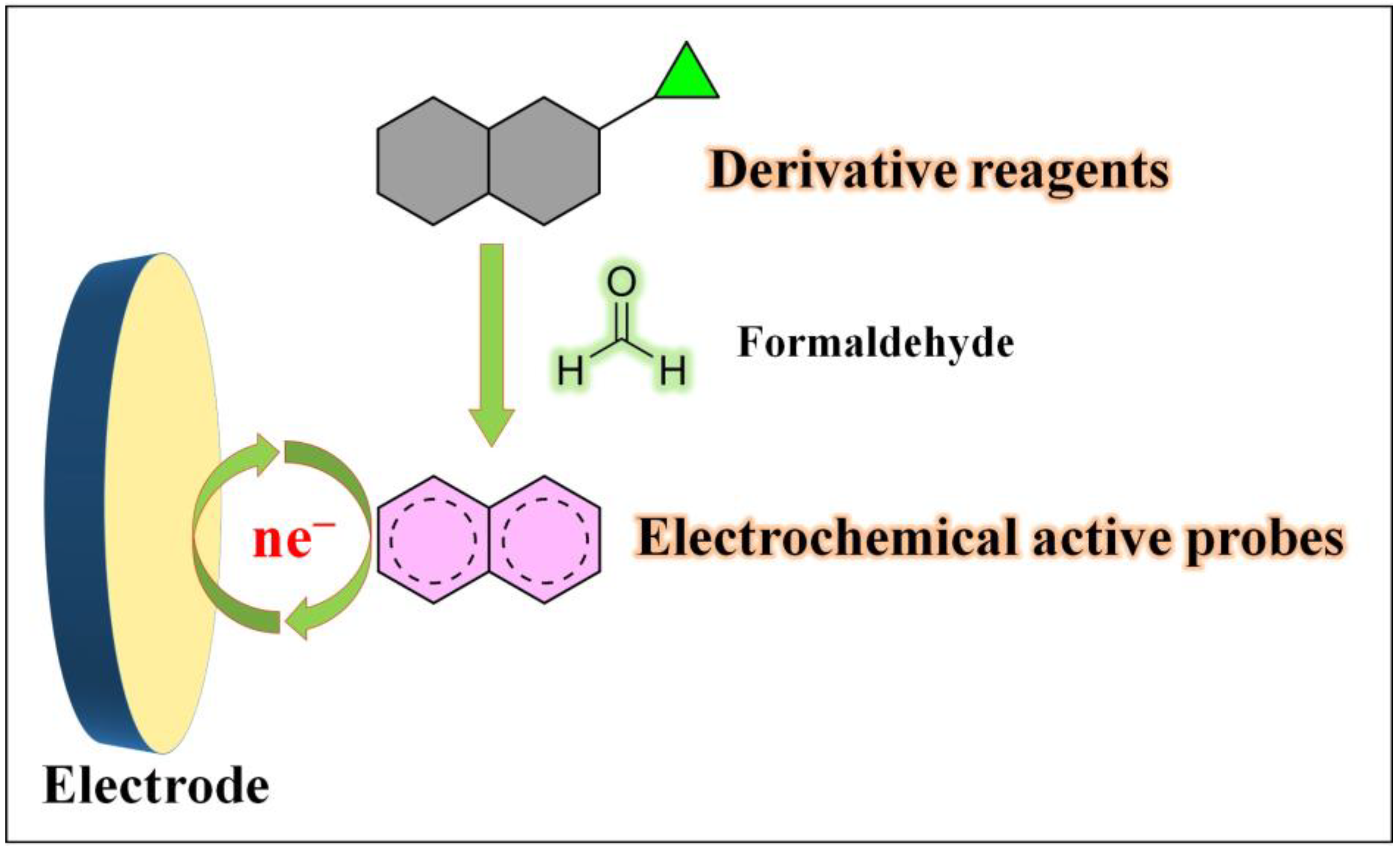 Molecules 29 00327 g003