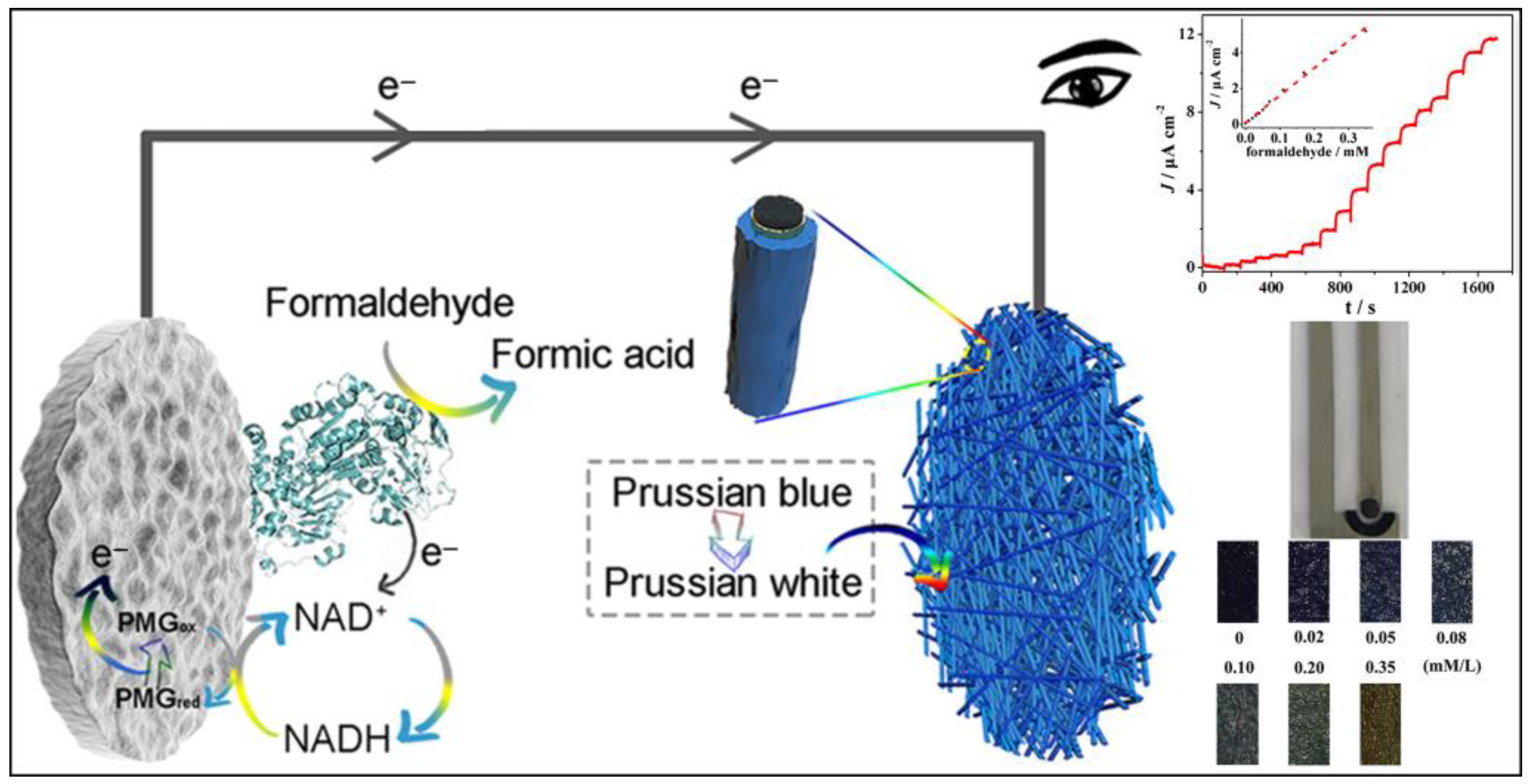Molecules 29 00327 g004