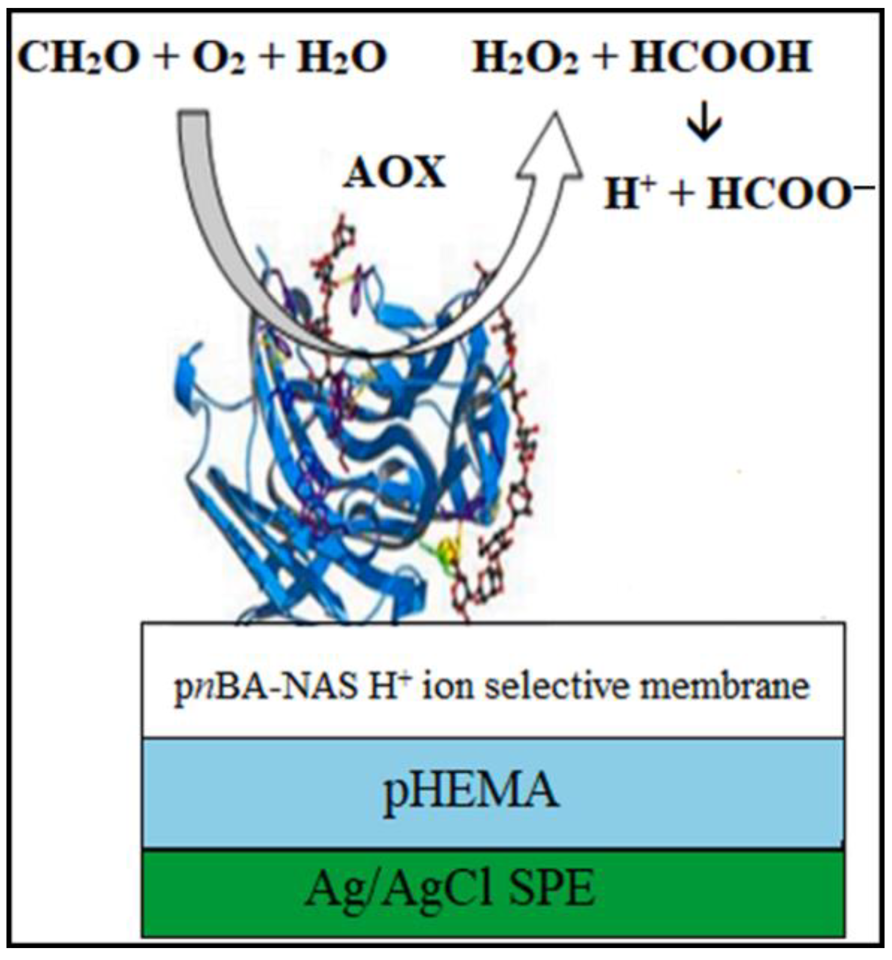 Molecules 29 00327 g006
