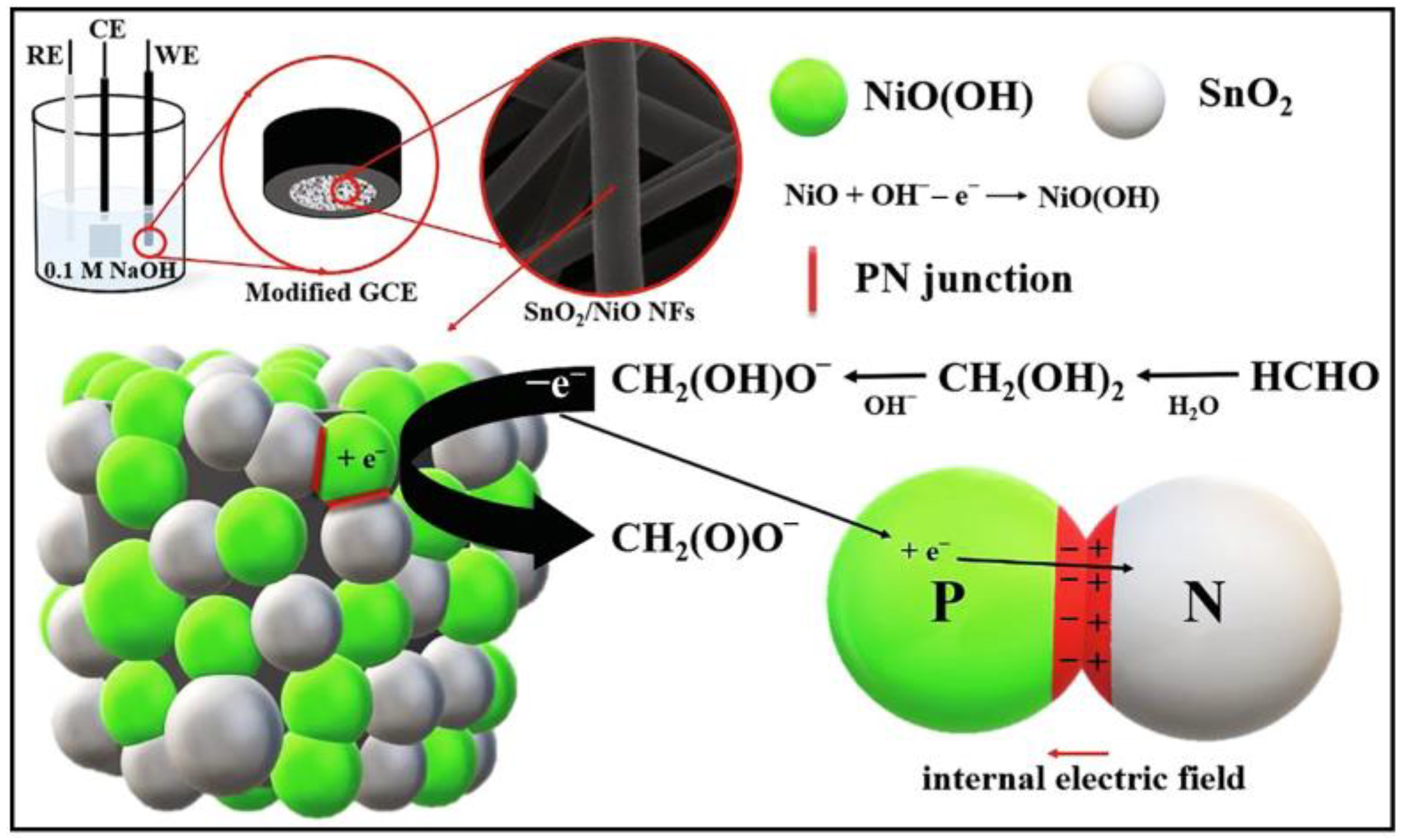 Molecules 29 00327 g009