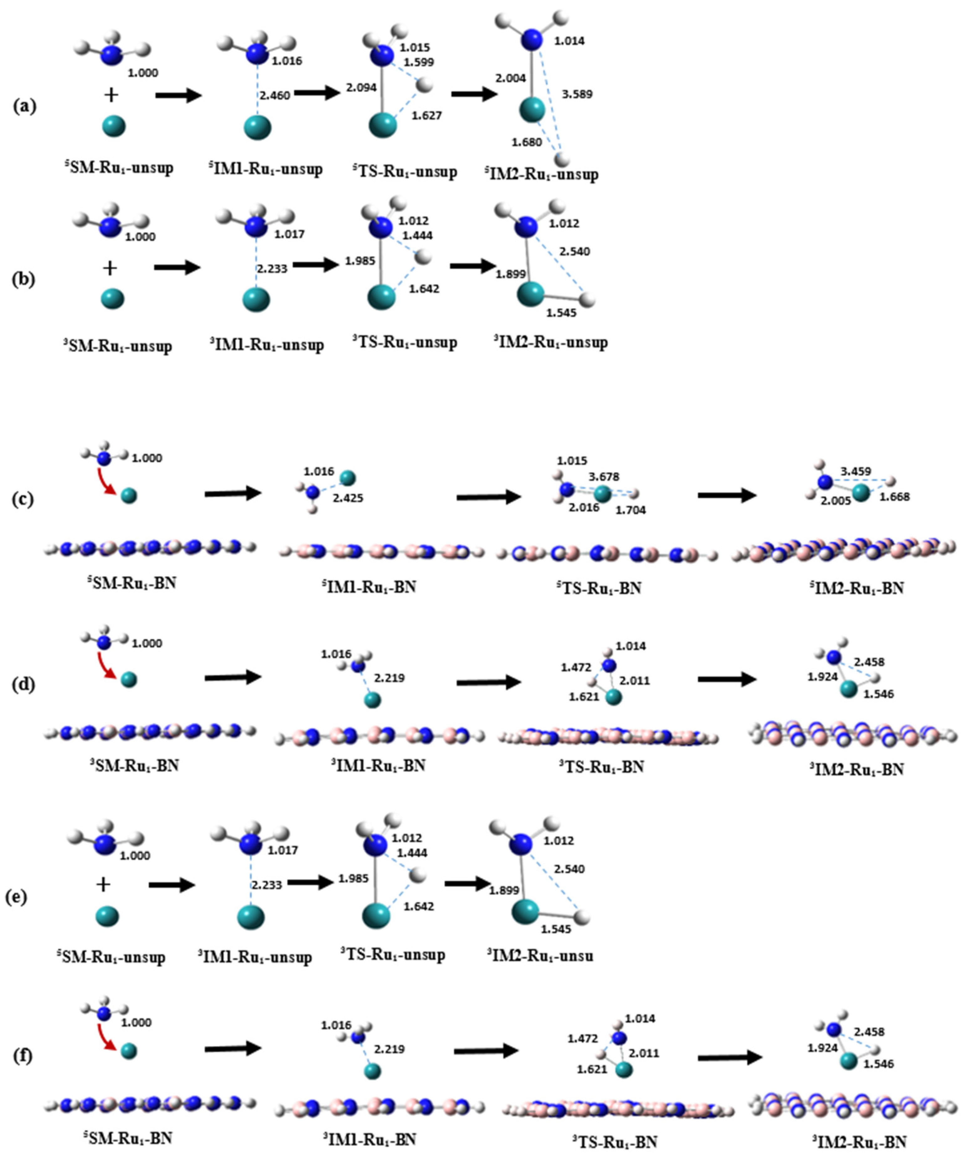 Molecules 29 00328 g002