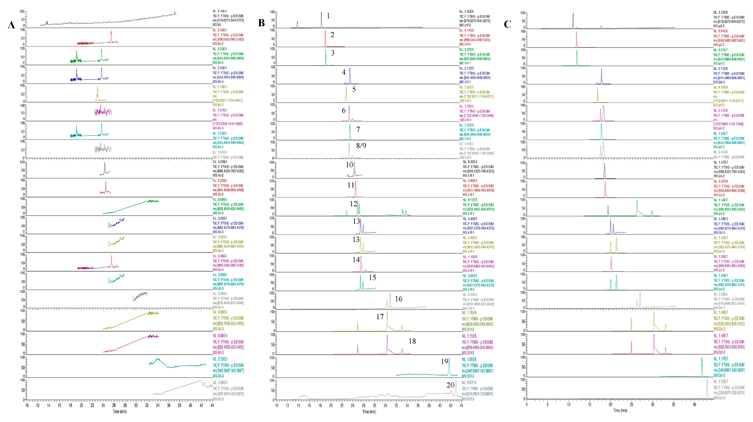Molecules 29 00334 g001