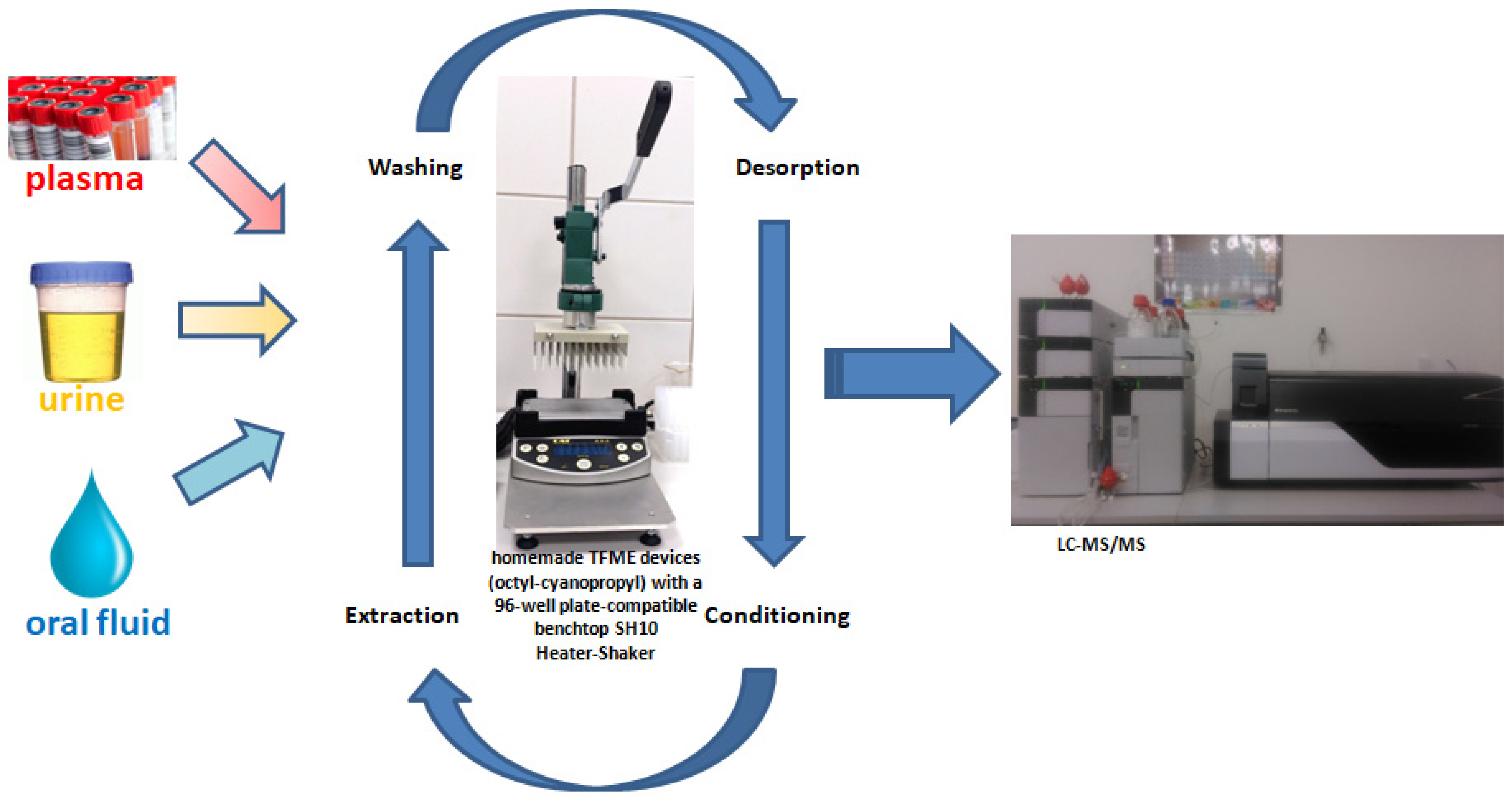 Molecules 29 00335 g002