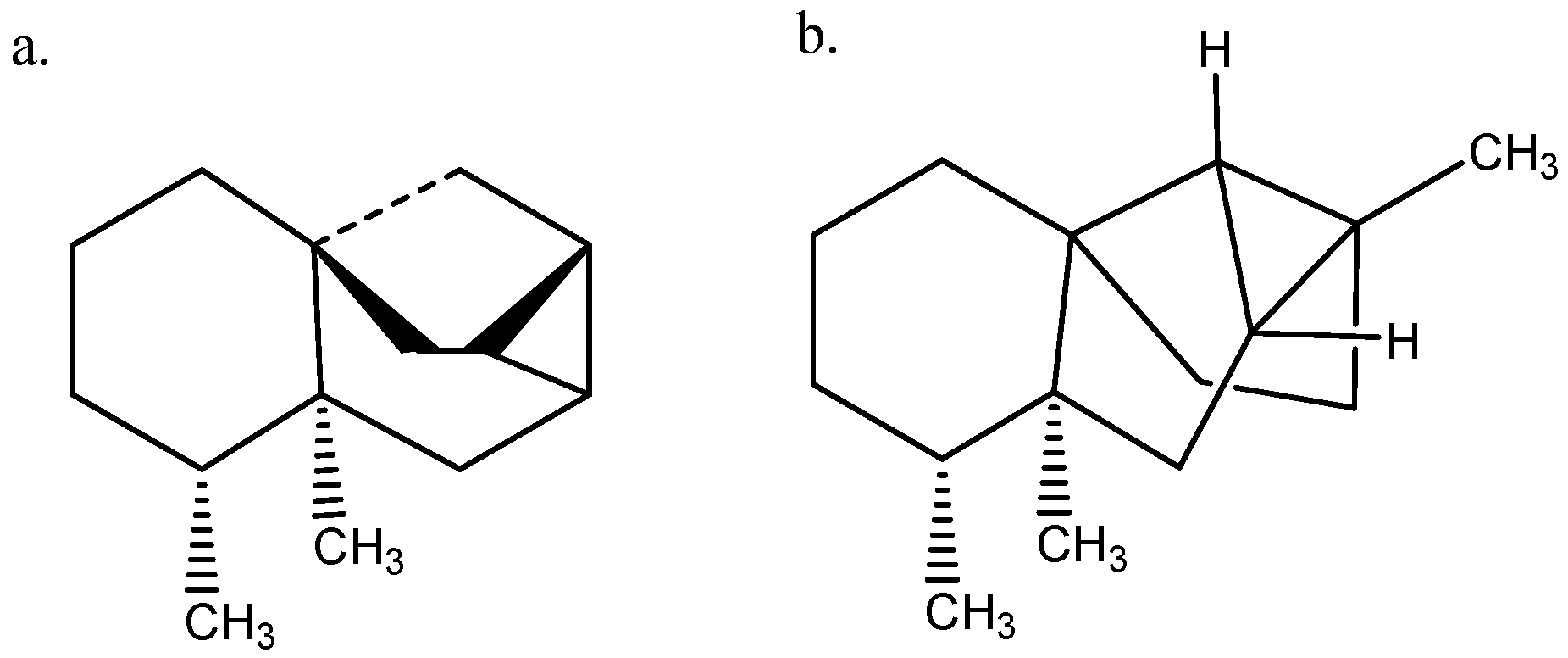 Molecules 29 00336 g004 Molecules 29 00336 g004