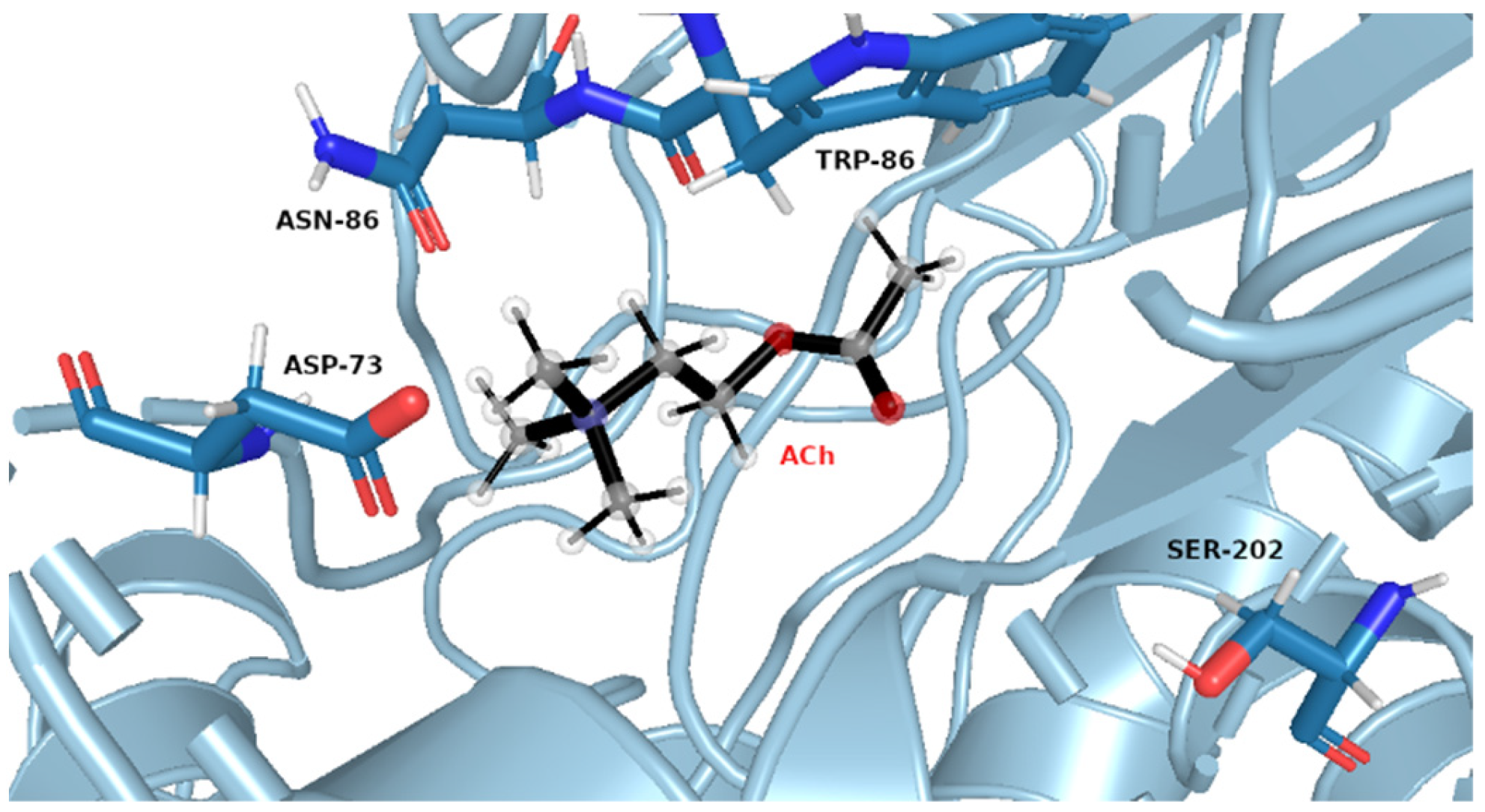 Molecules 29 00338 g007