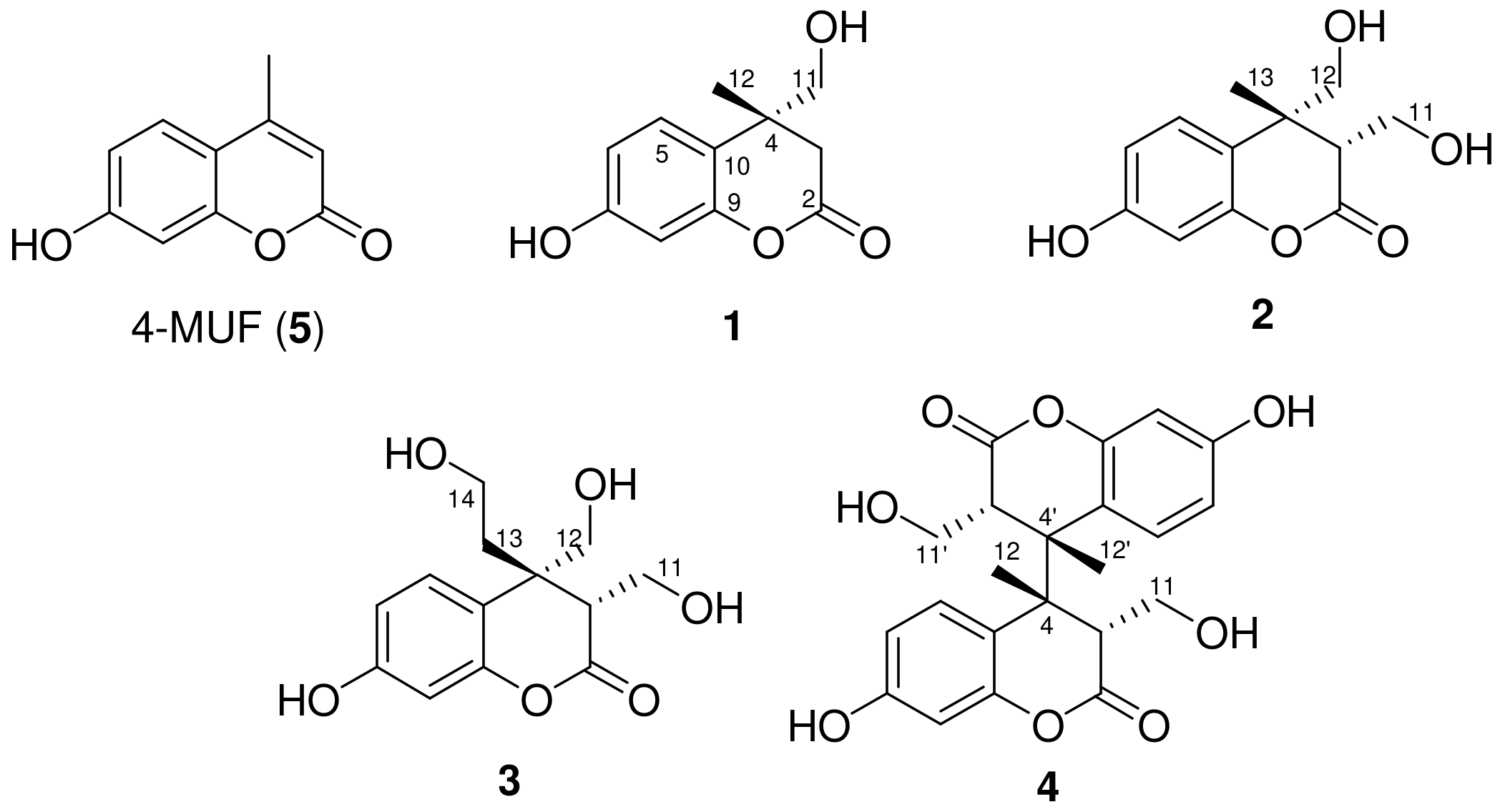 Molecules 29 00341 g001