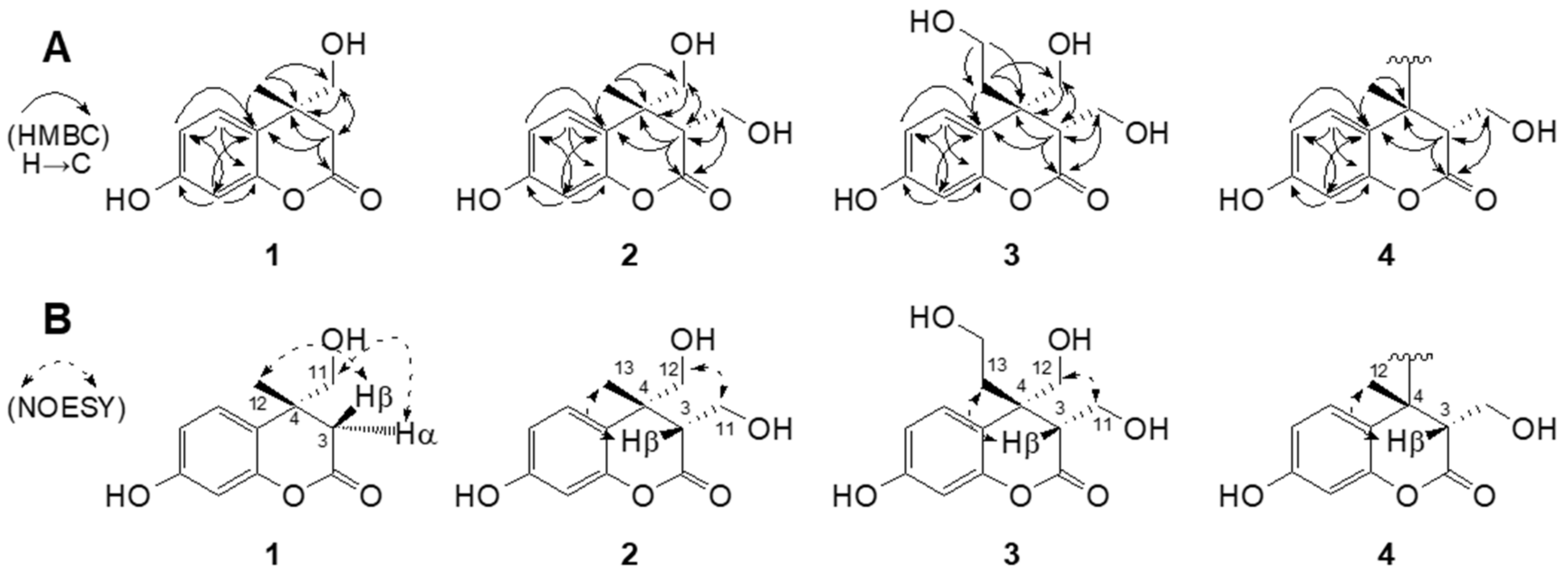 Molecules 29 00341 g002