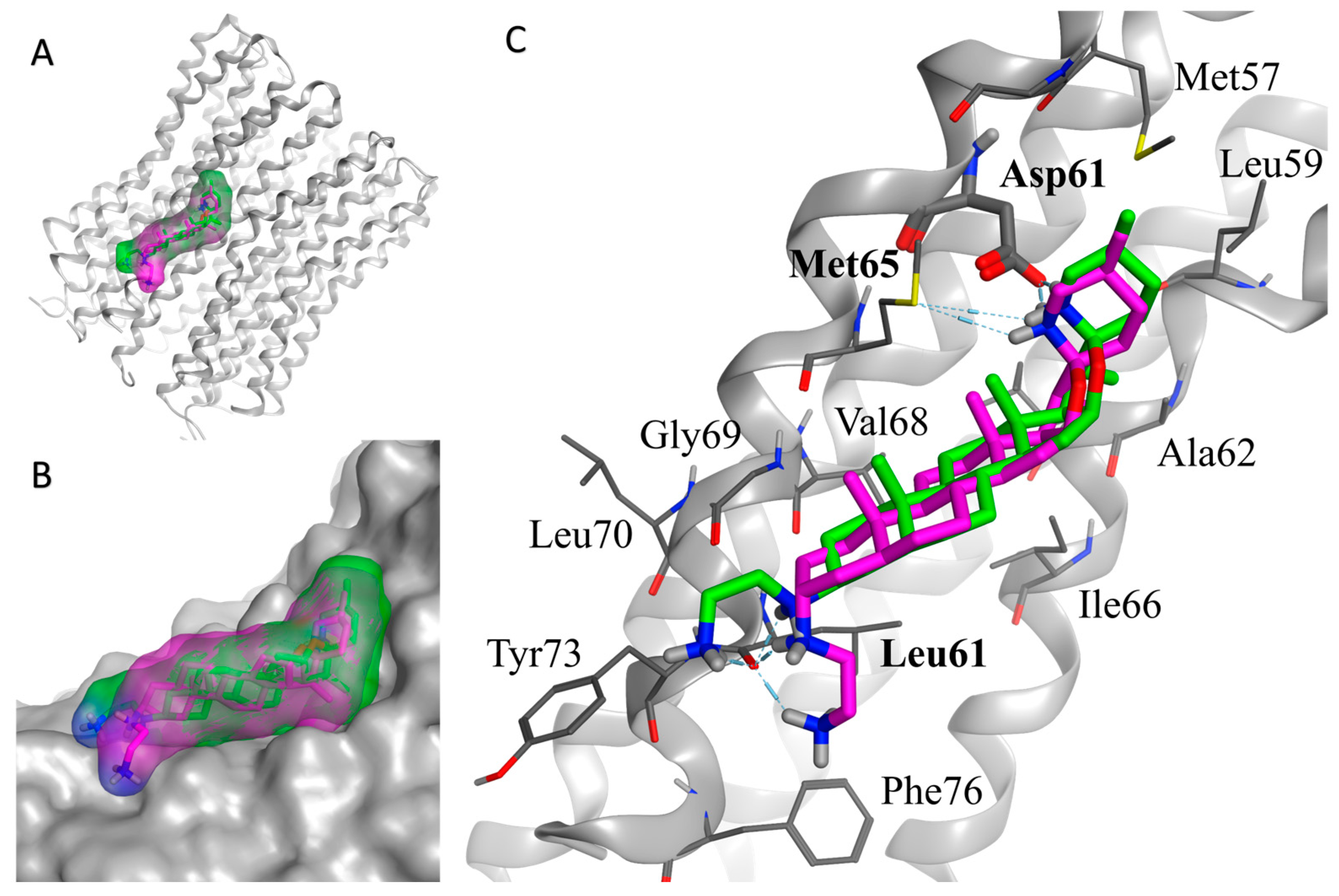 Molecules 29 00343 g002