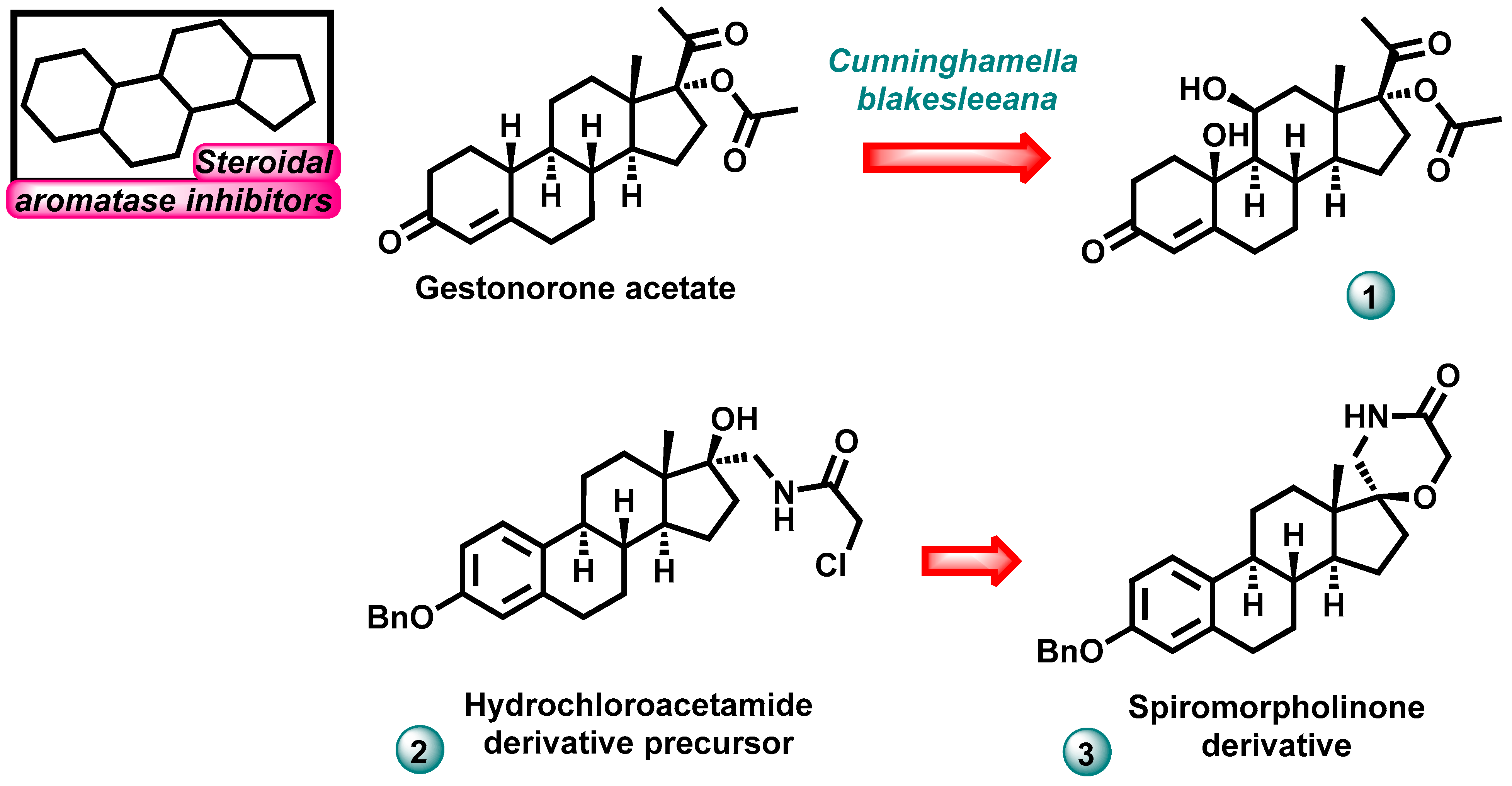 Molecules 29 00346 g003