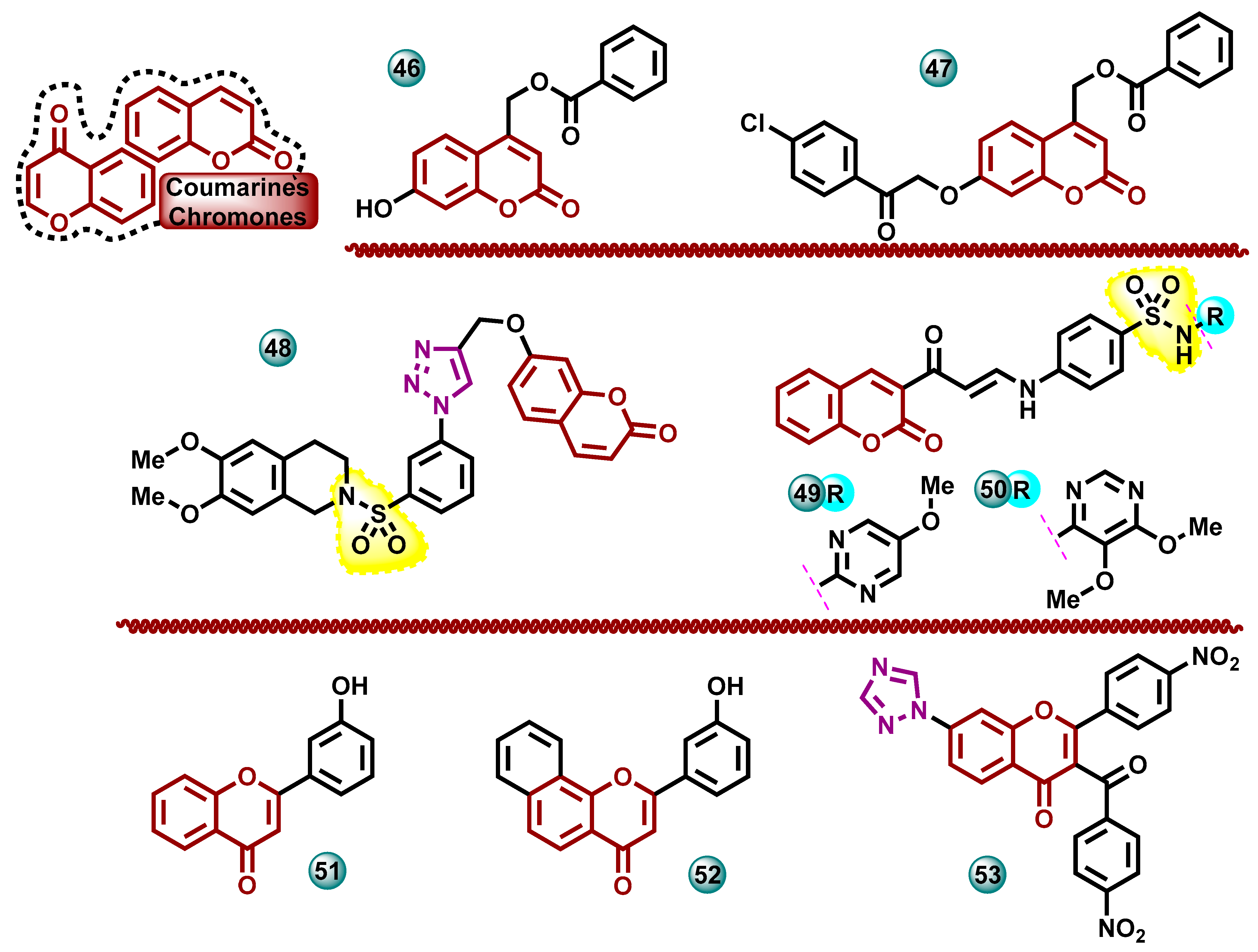 Molecules 29 00346 g011