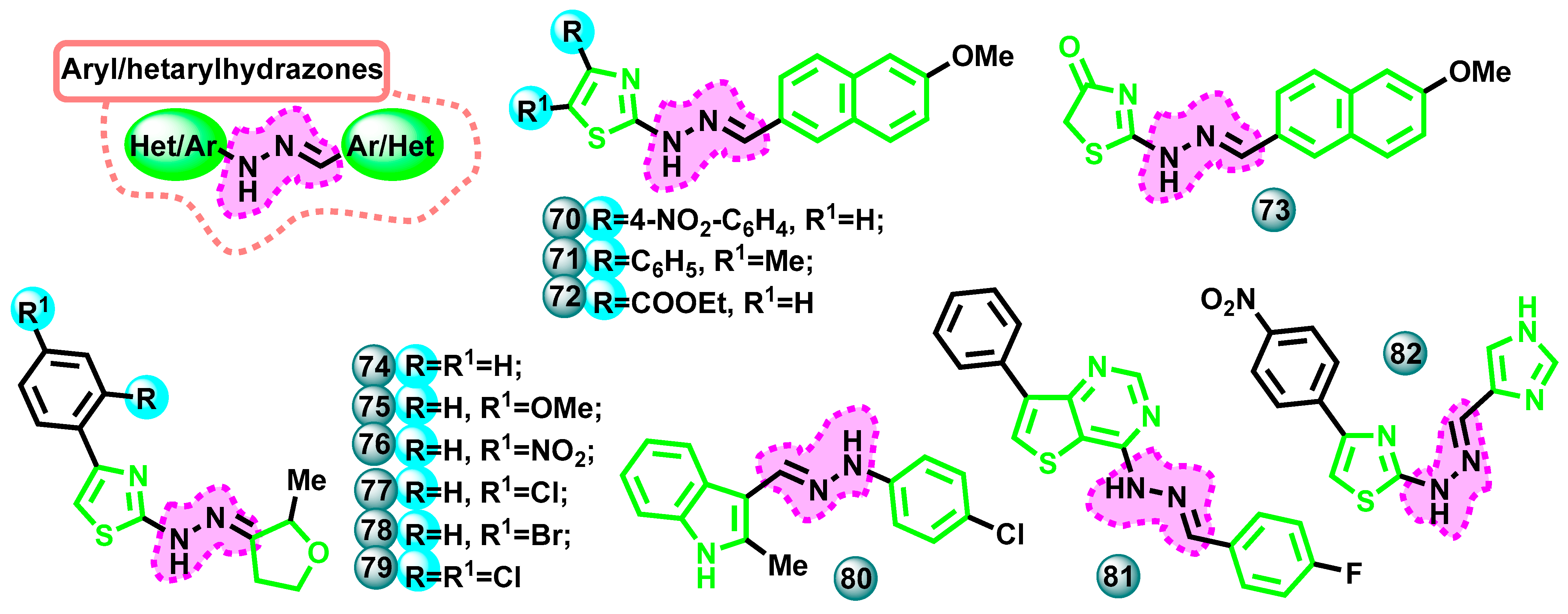 Molecules 29 00346 g014