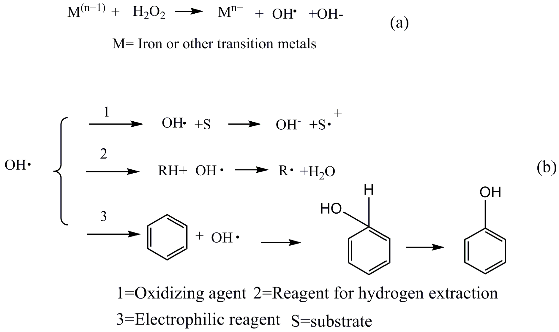 Molecules 29 00347 g001