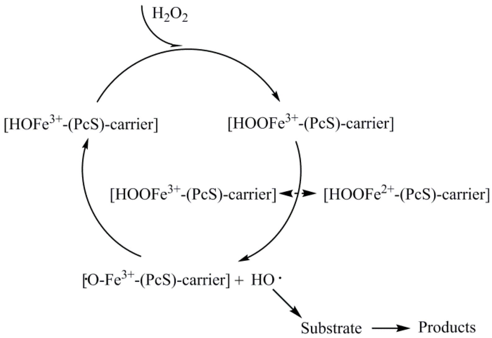 Molecules 29 00347 g002