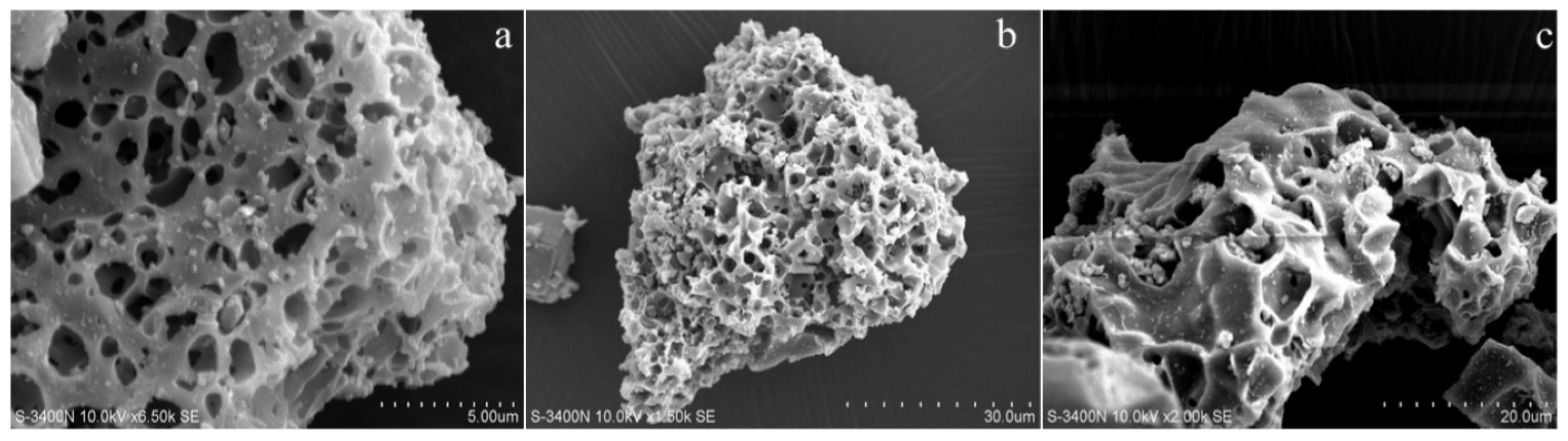 Molecules 29 00347 g008