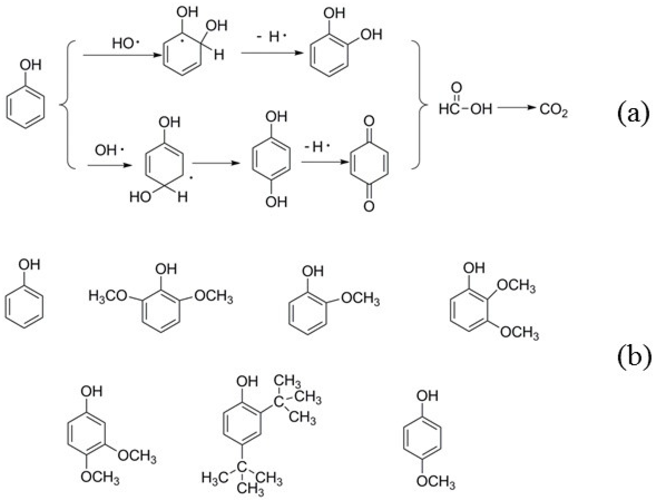 Molecules 29 00347 g014