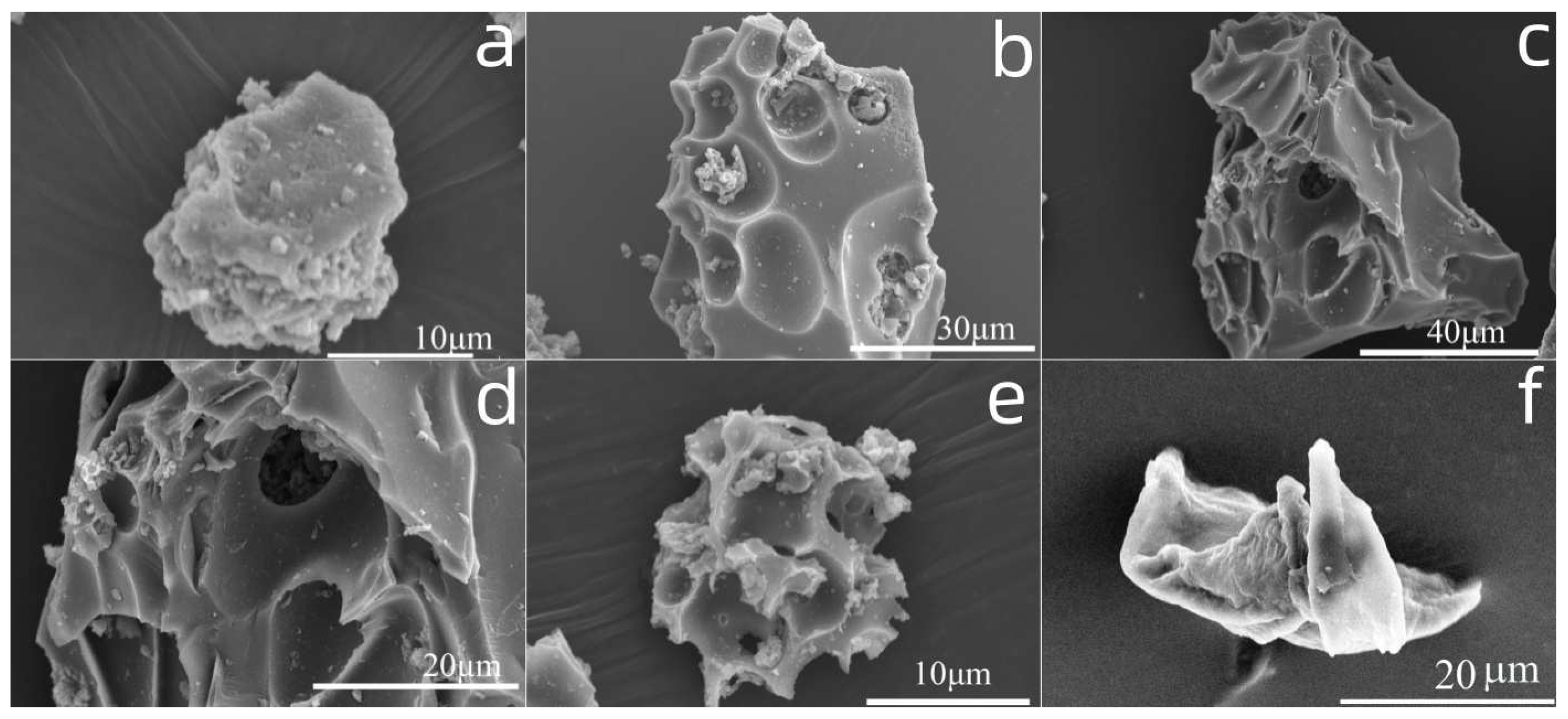 Molecules 29 00347 g019