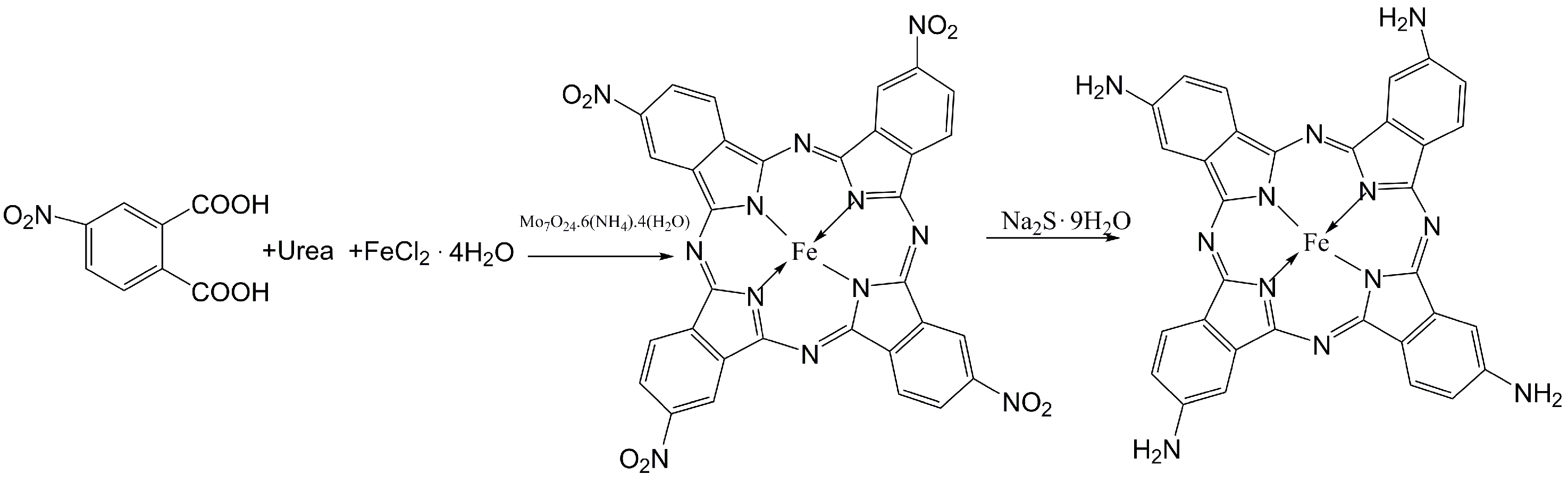 Molecules 29 00347 g021