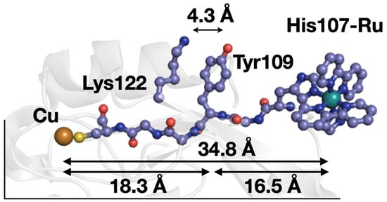 Molecules 29 00350 g001