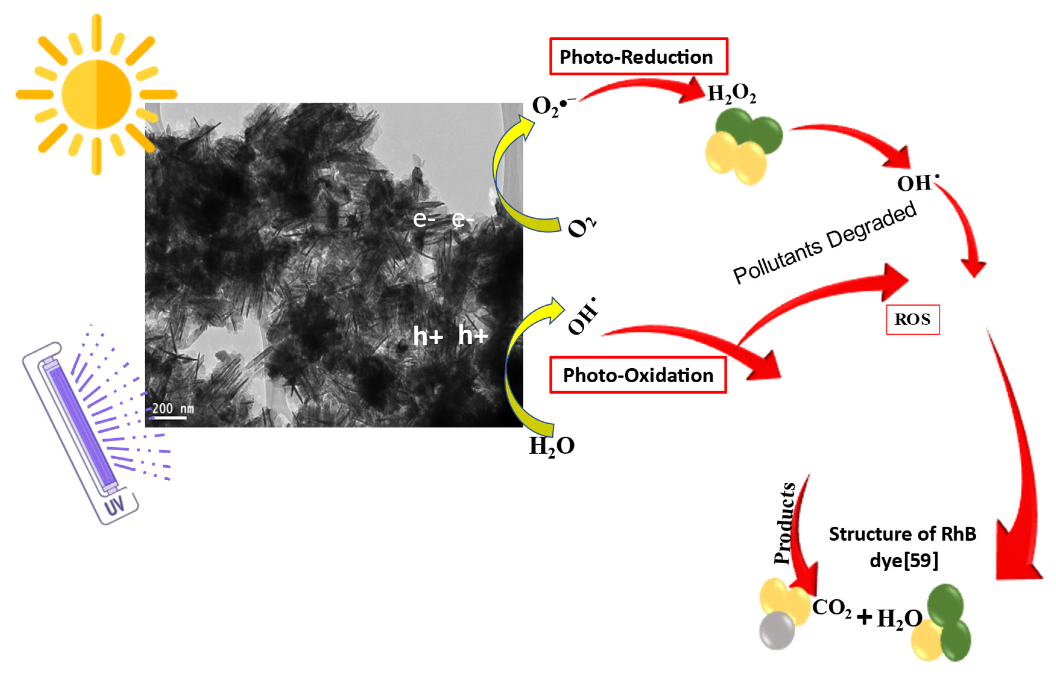 Molecules 29 00355 g011