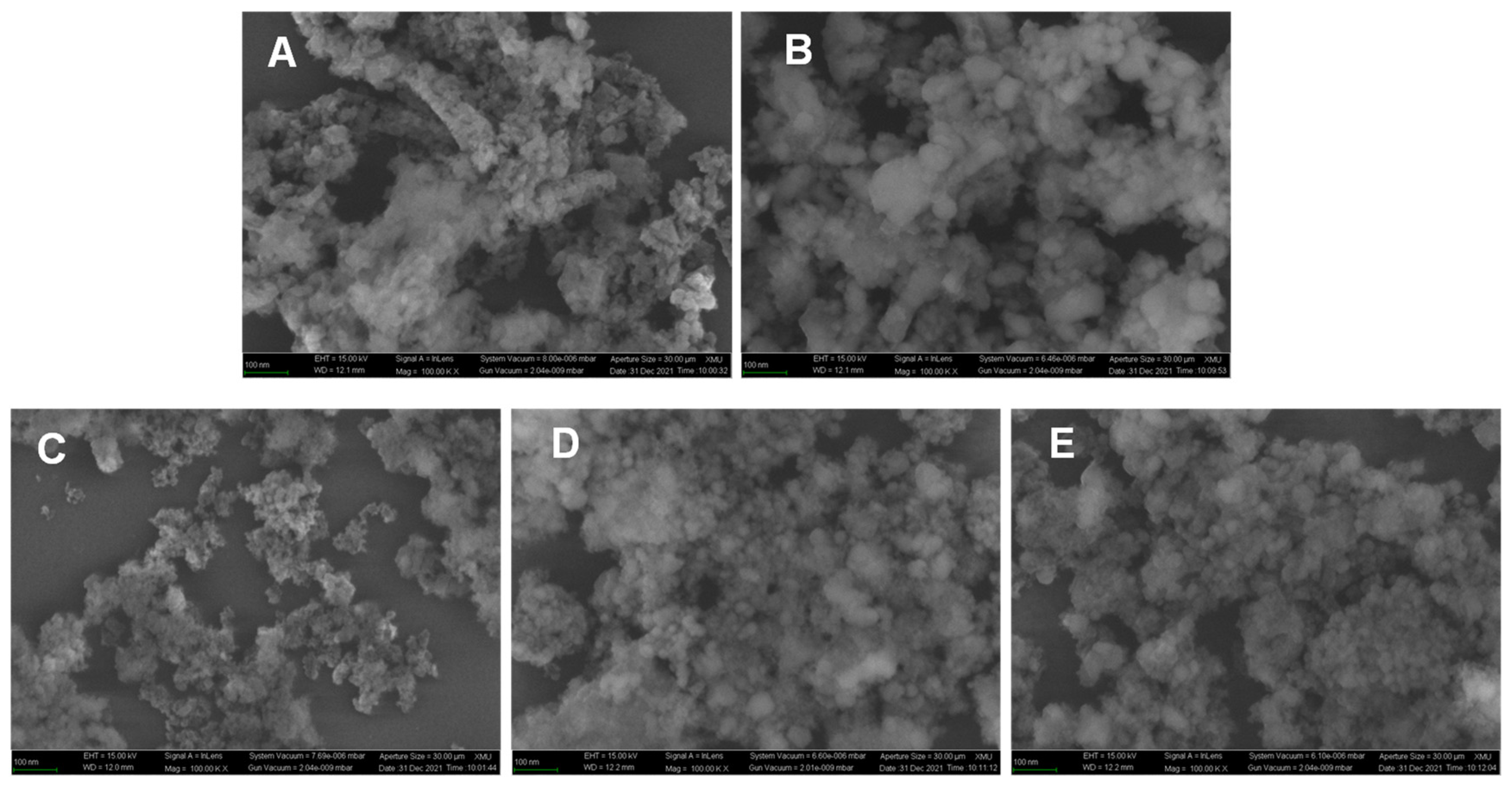 Molecules 29 00356 g012