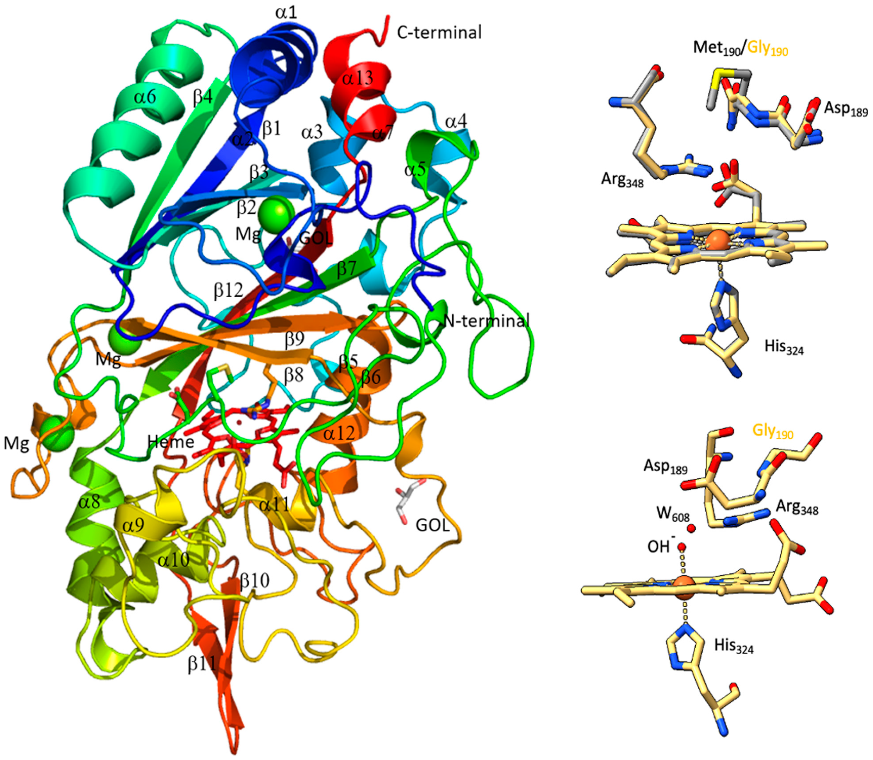 Molecules 29 00358 g005