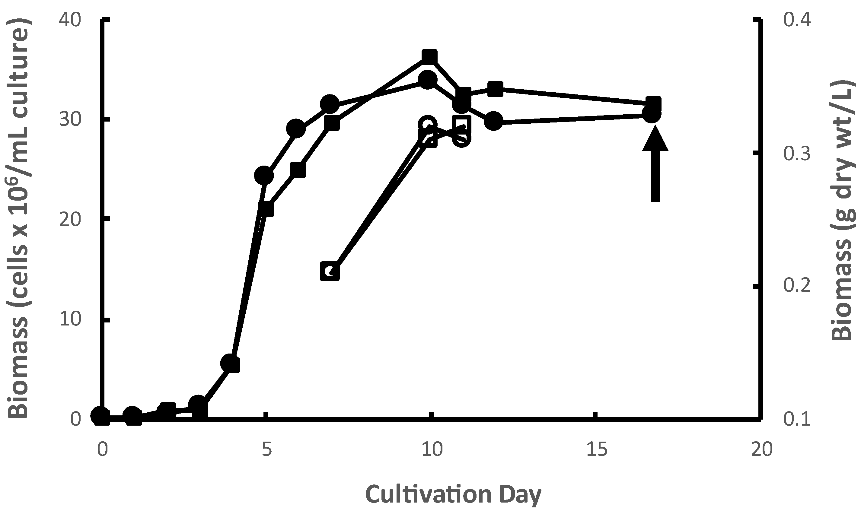Molecules 29 00359 g001
