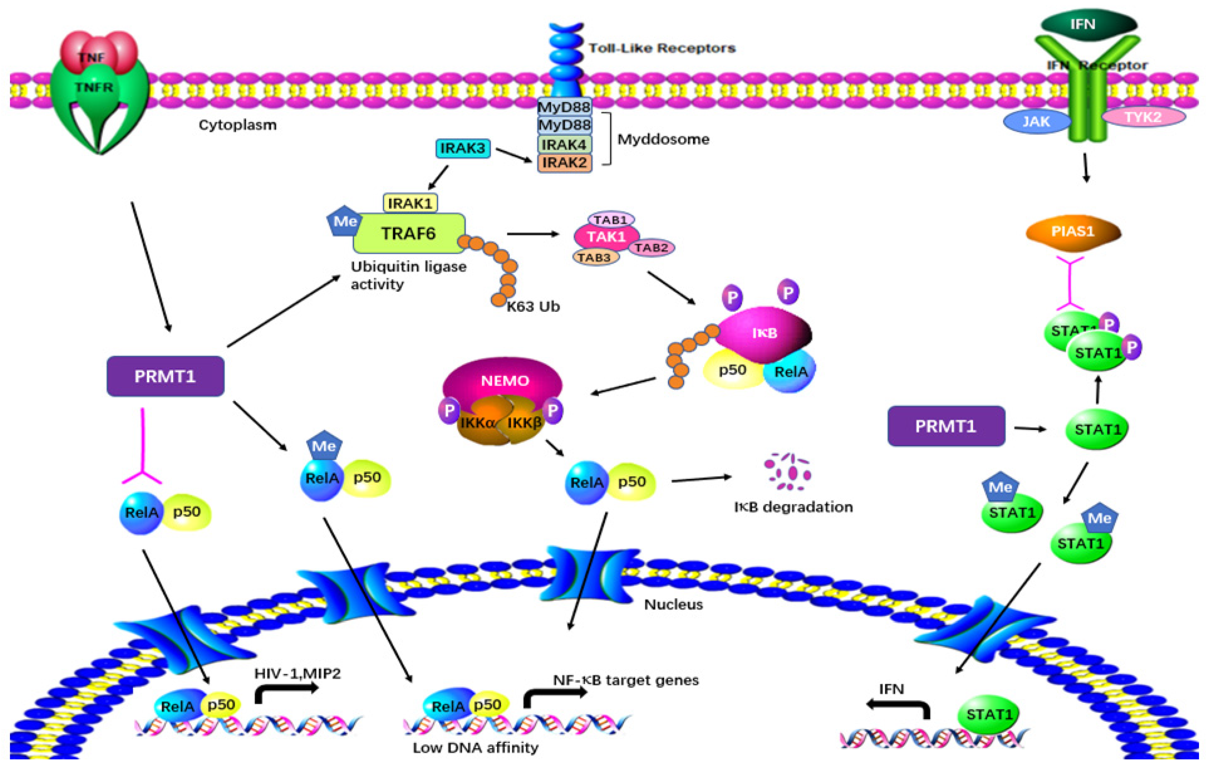 Molecules 29 00360 g006